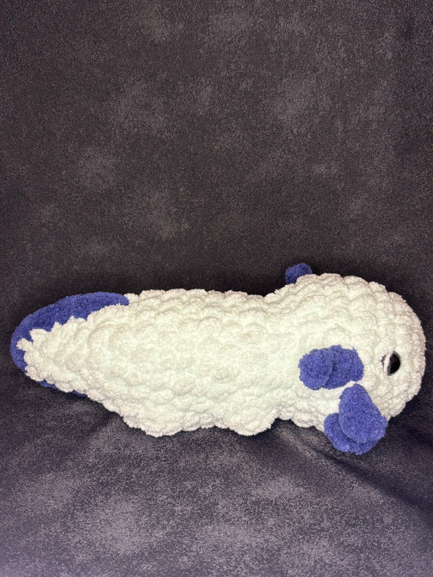 Axolotl