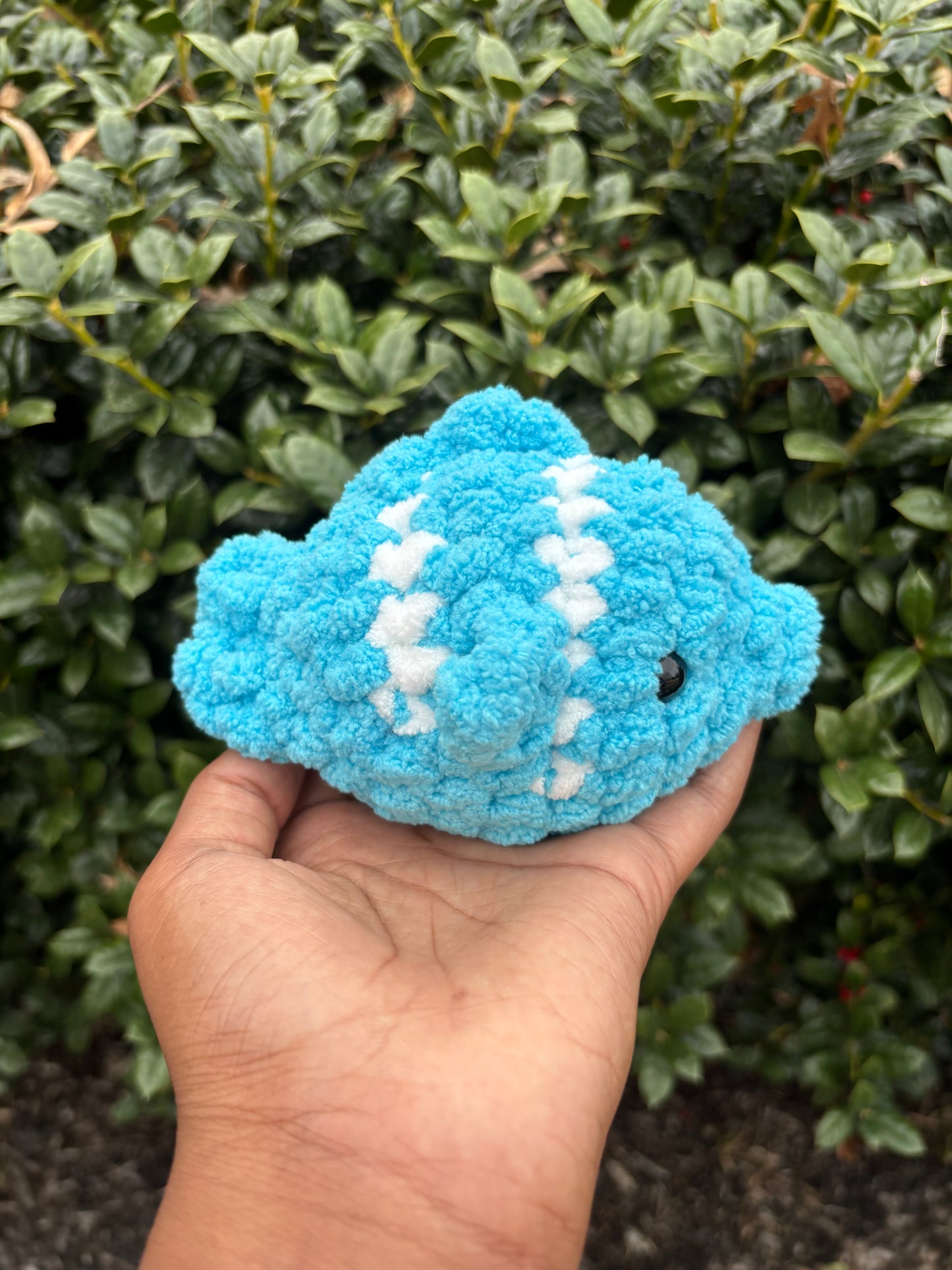 Electric Blue Fish