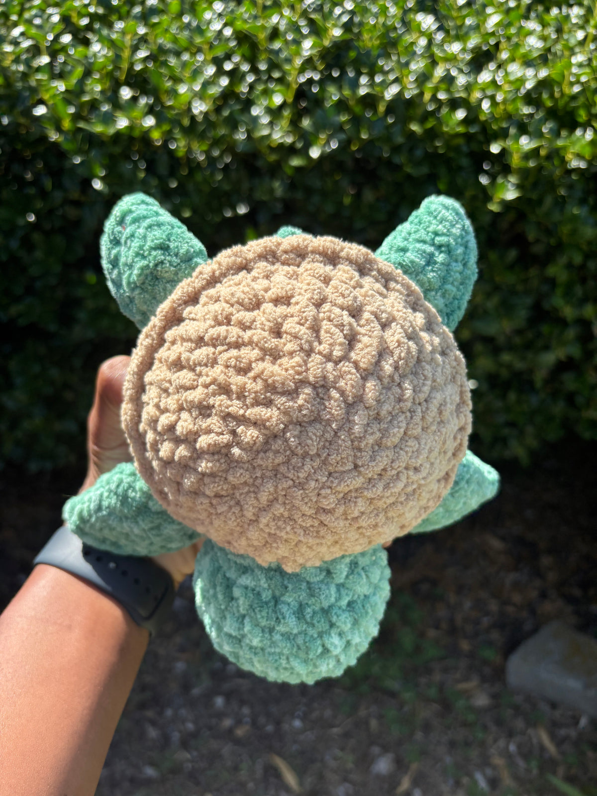 Mystical Green & Brown Turtle