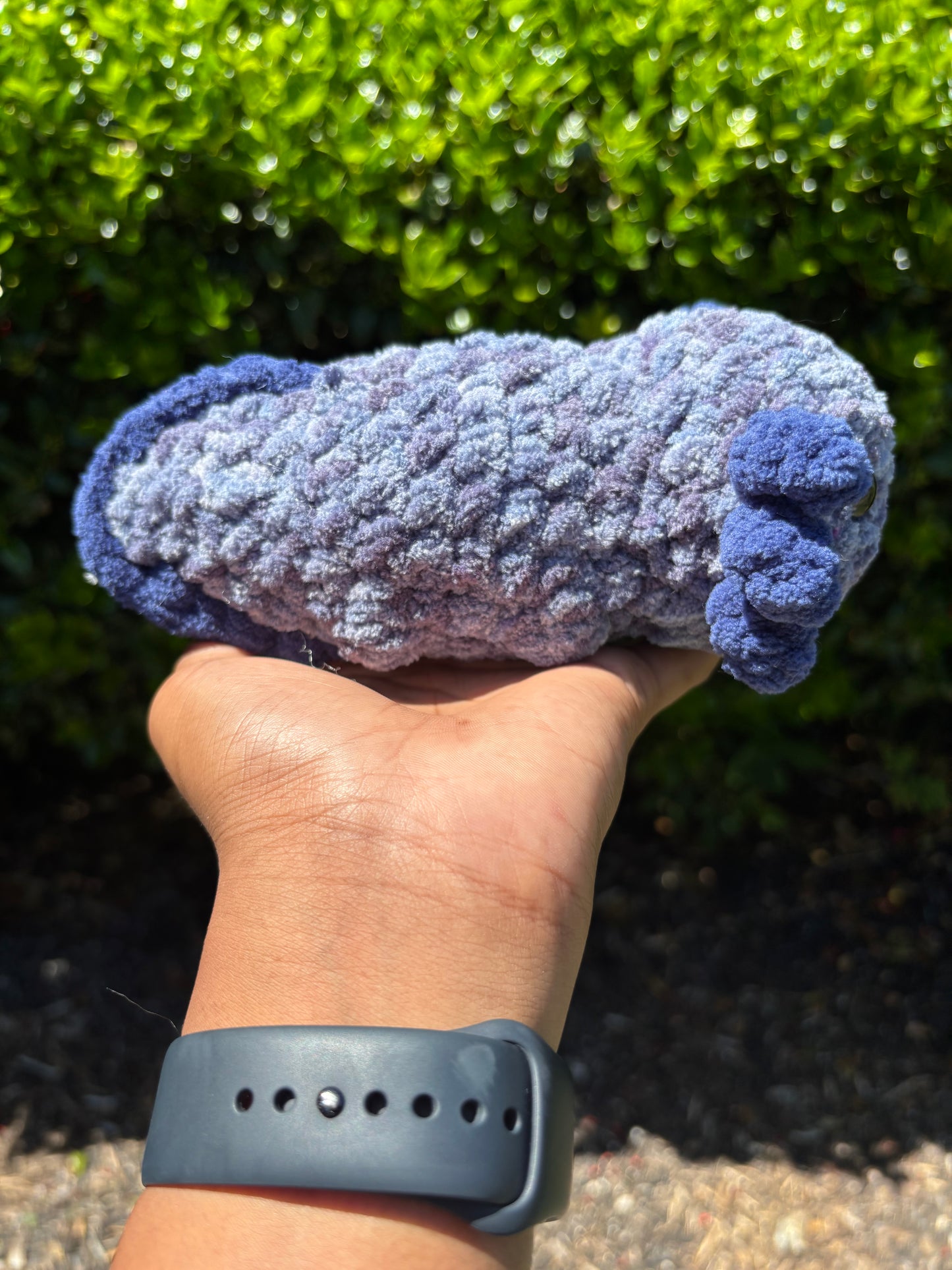 Navy Blue & Mystical Blue Axolotl