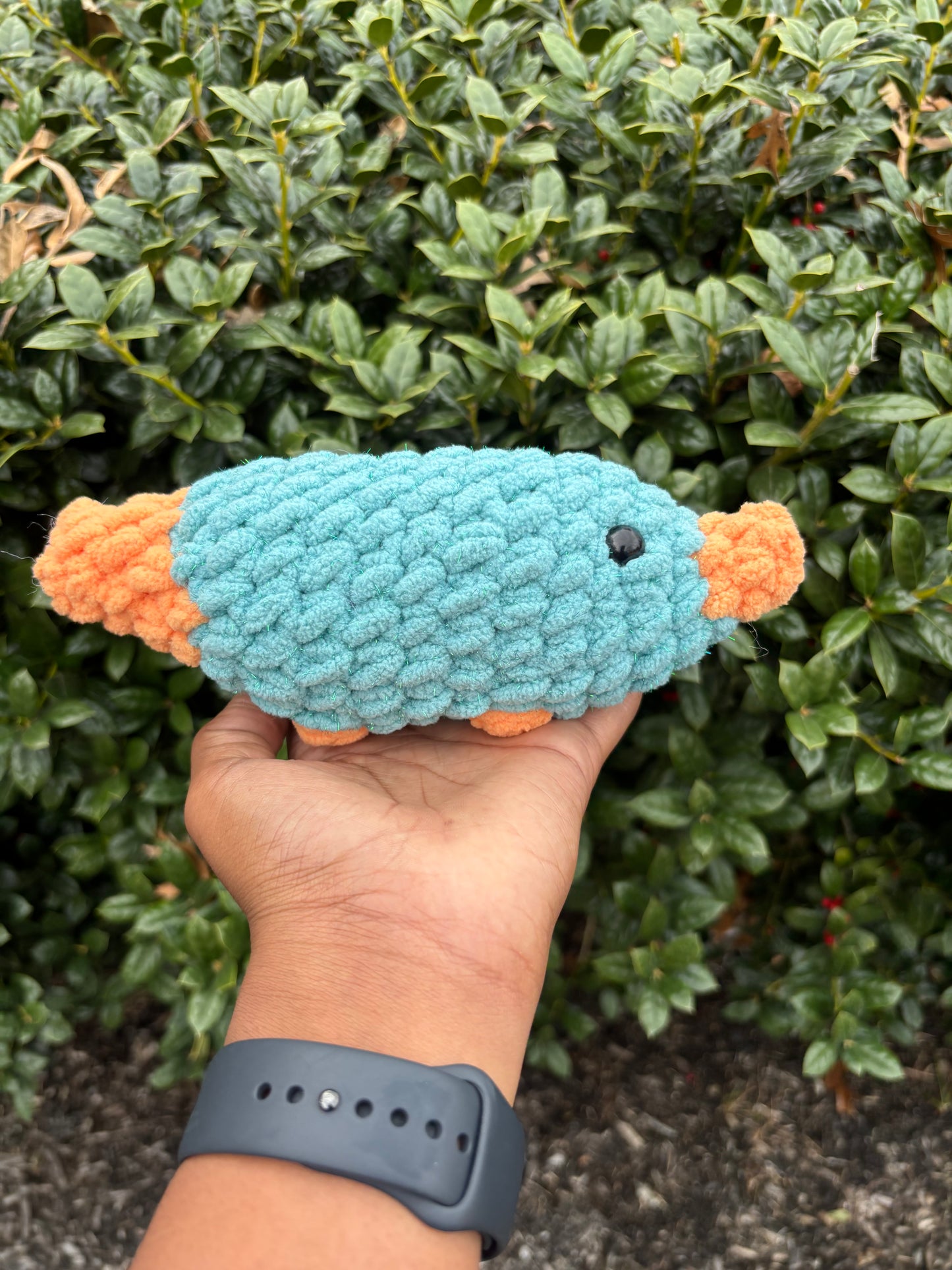 Seaside Sparkle & Orange Platypus