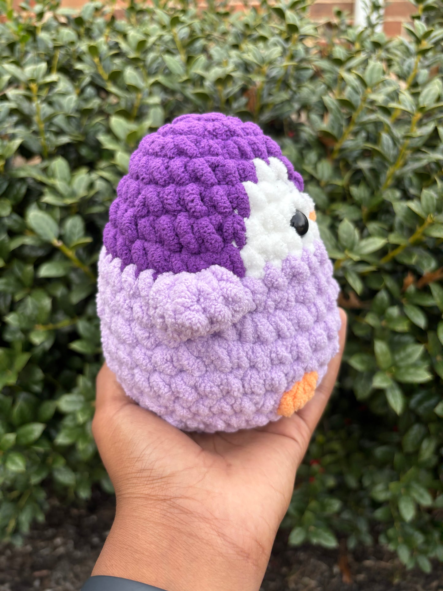 Purple Penguin