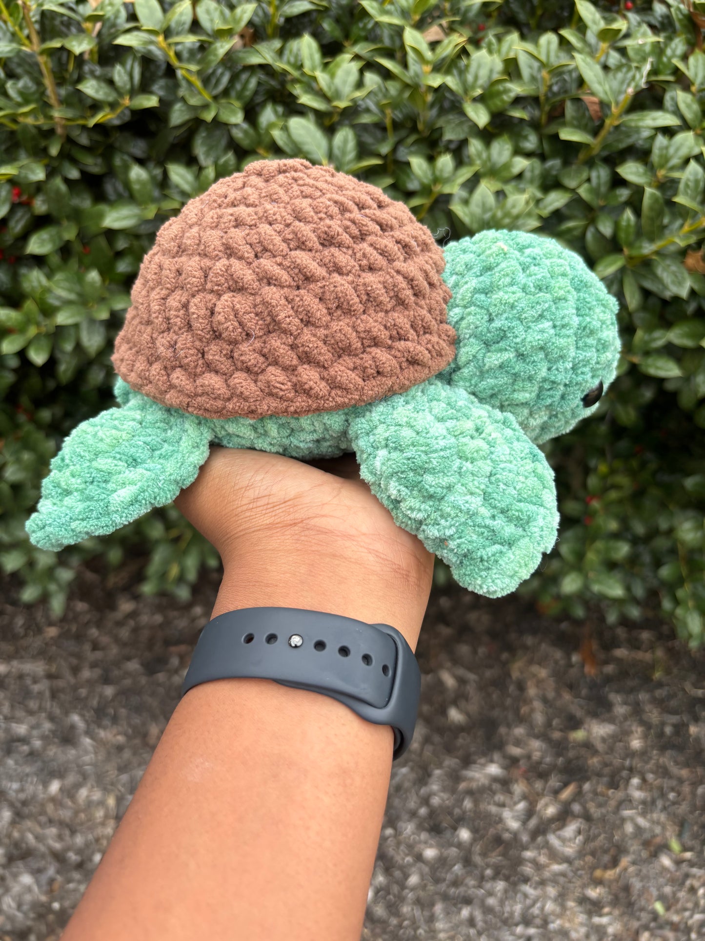 Spearmint Green & Dark Brown Turtle
