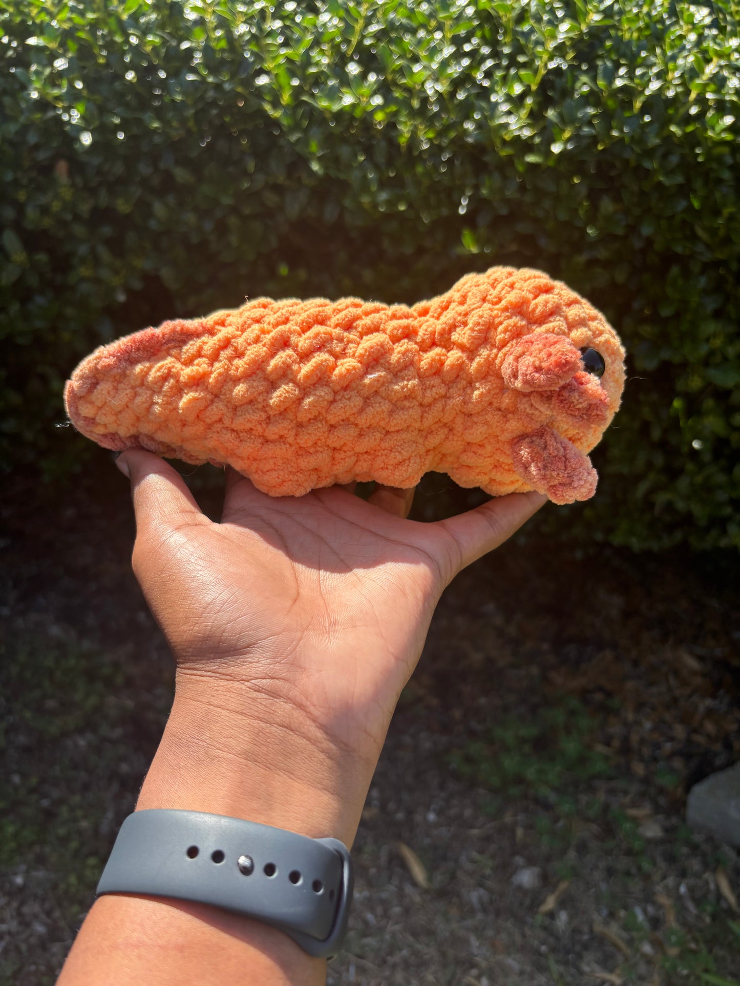 Orange Axolotl