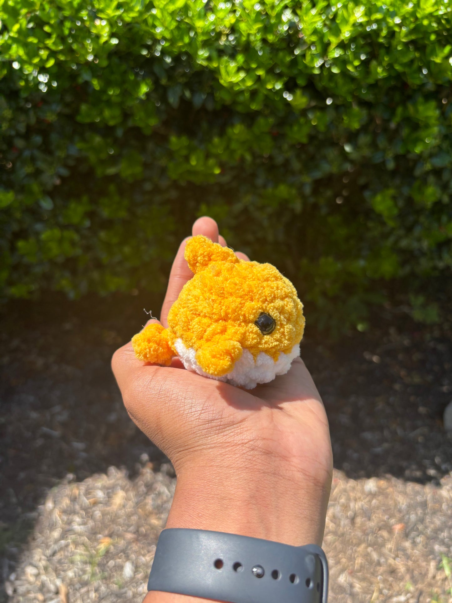 Dark Yellow Mini Shark