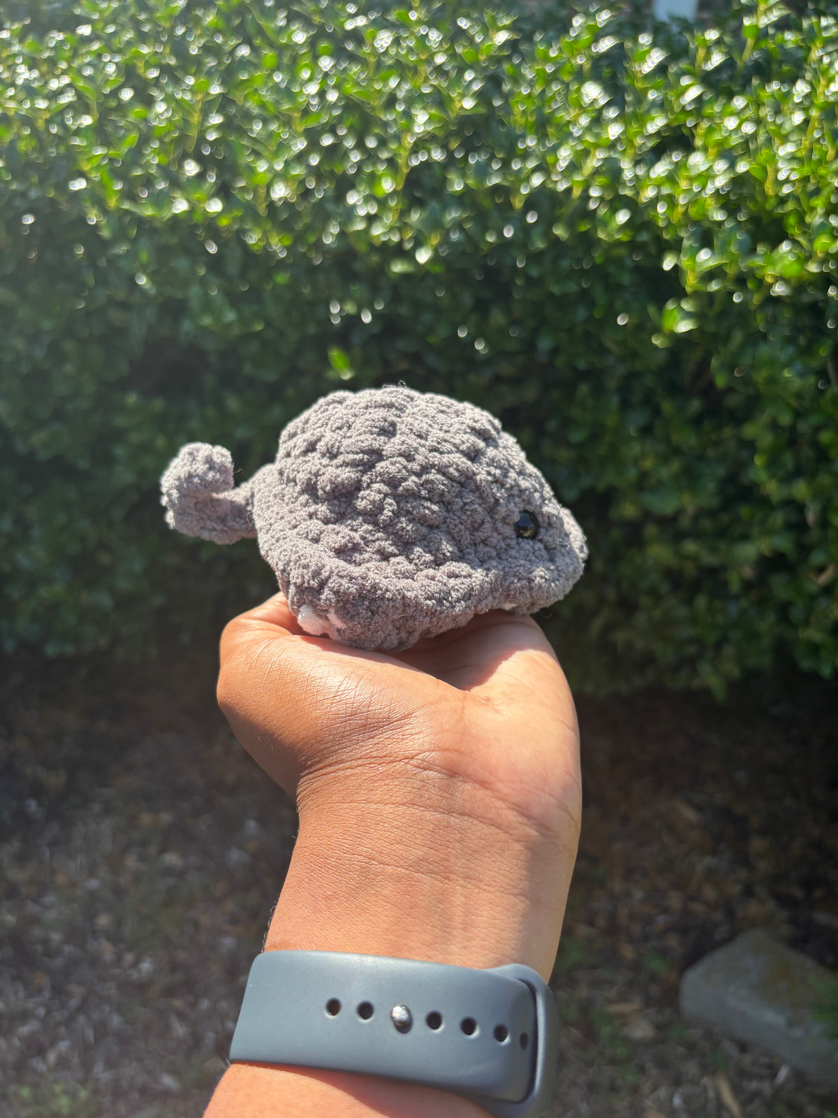 Dark Gray Mini Stingray