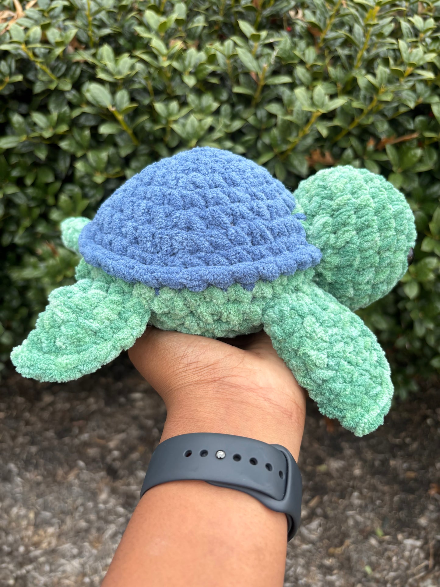 Spearmint & Navy Blue Turtle