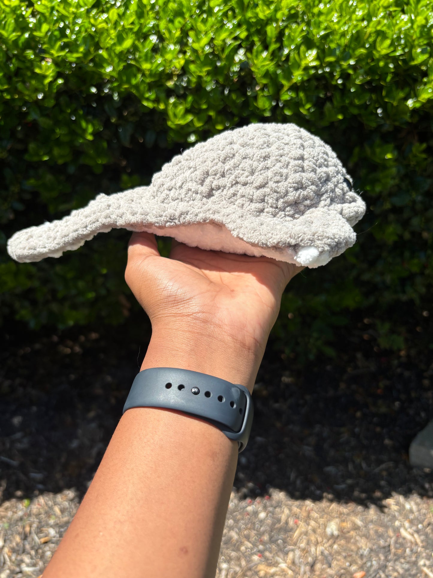Gray Stingray