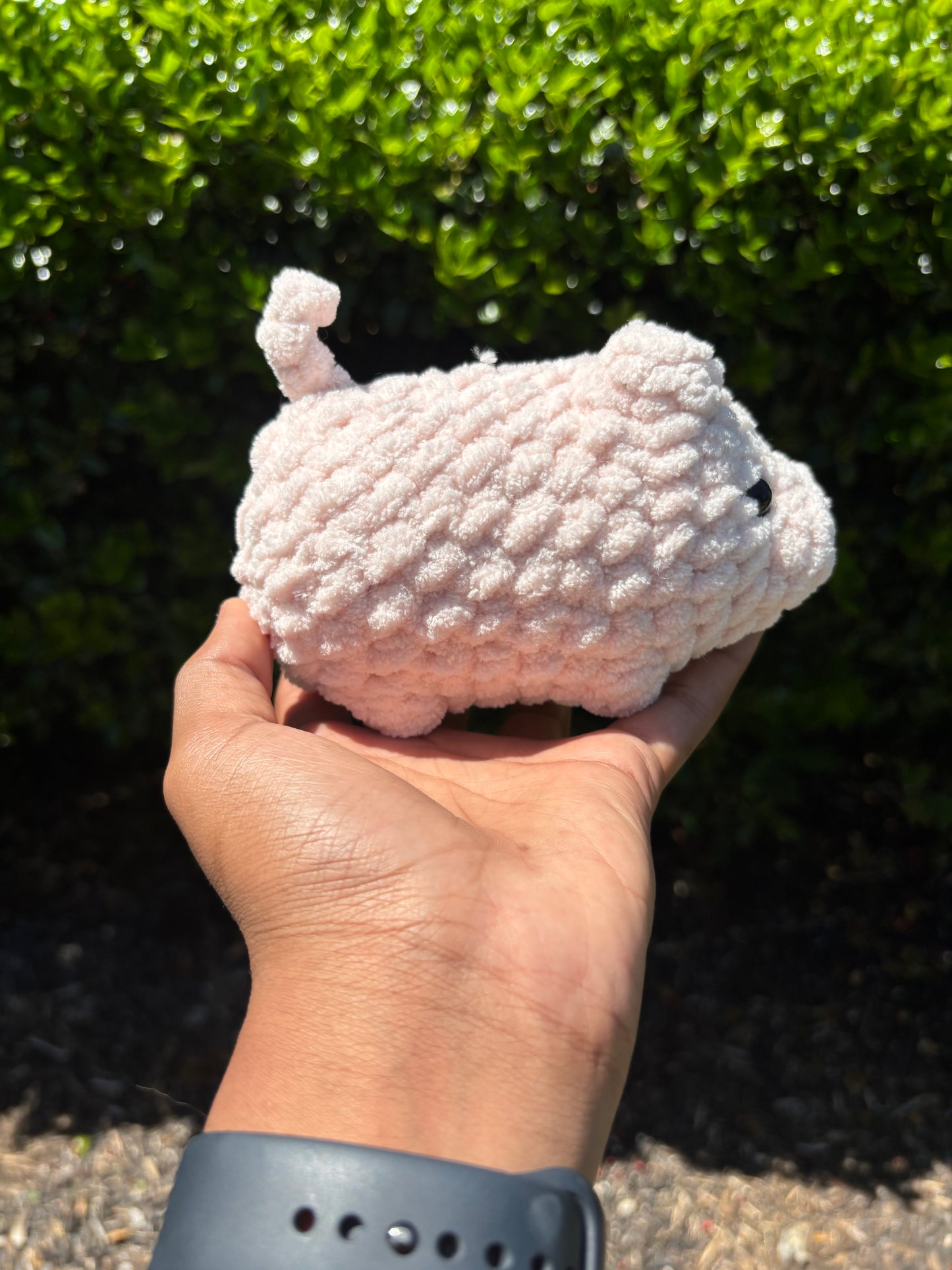 Light Pink Pig