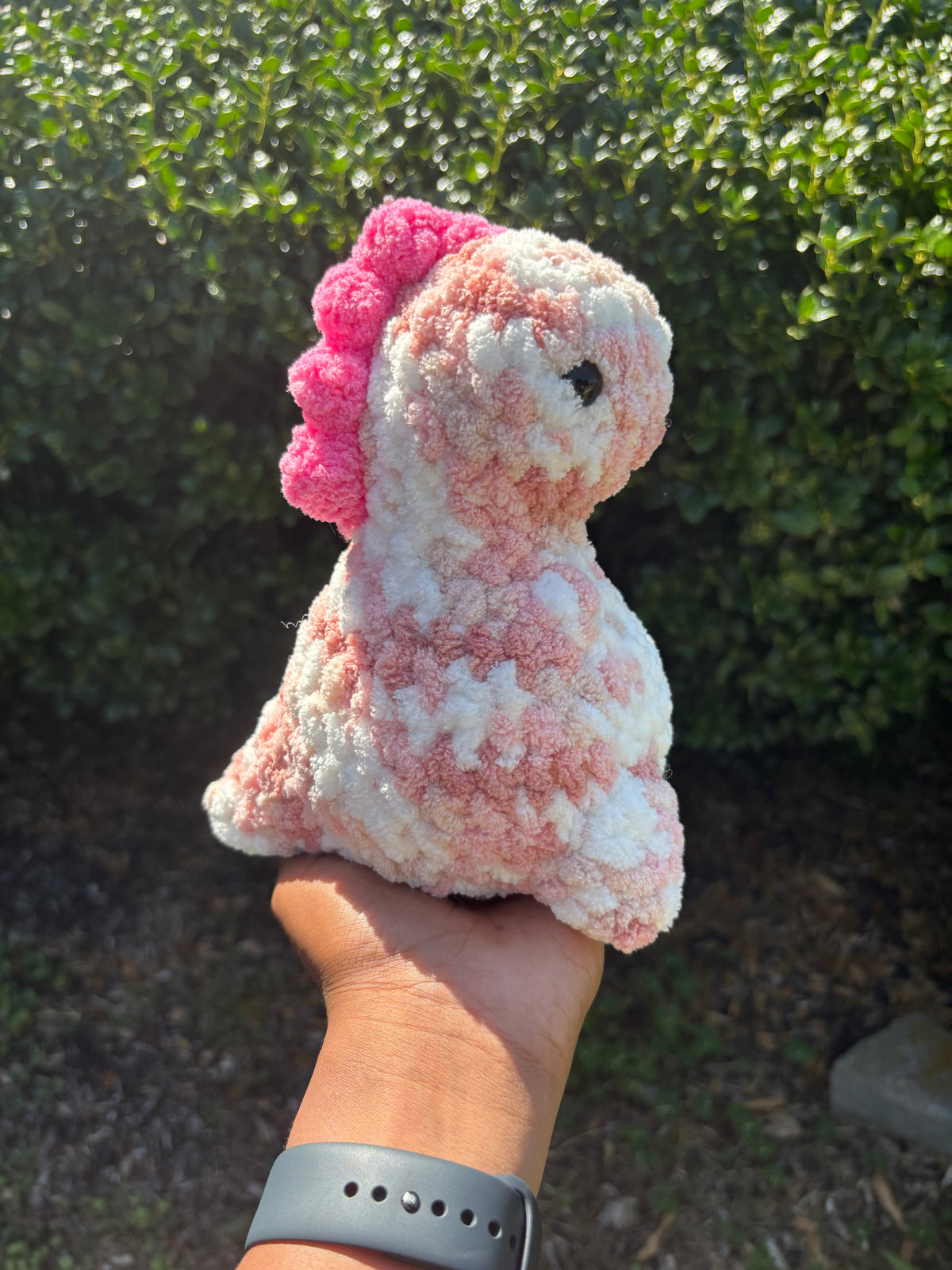 Variegated Pink Chubby Dino