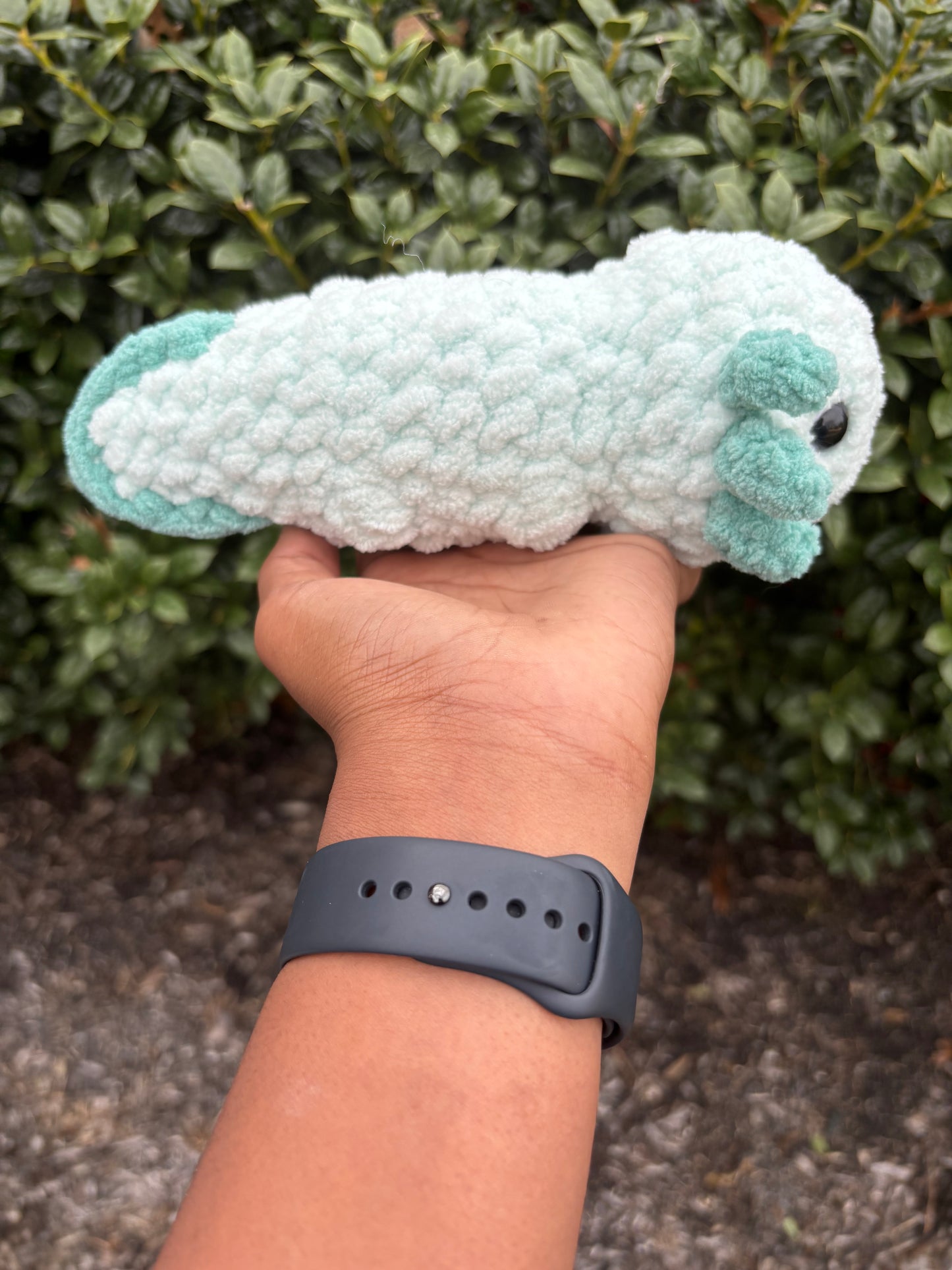 Mint & Light Teal Axolotl