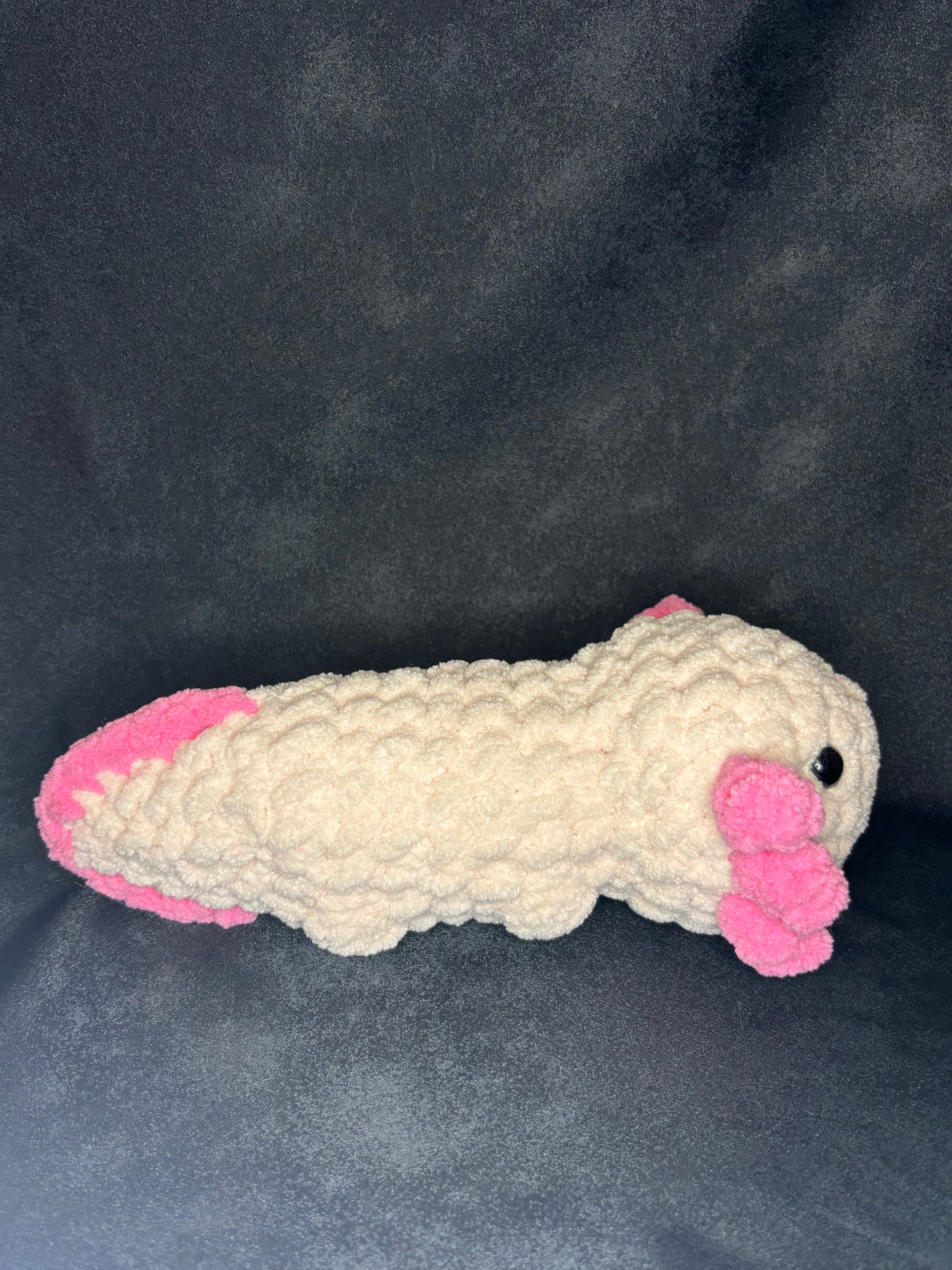 Axolotl