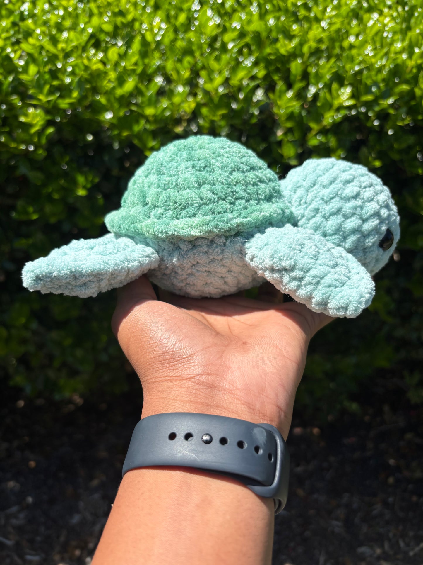 Green & Mystical Green Turtle