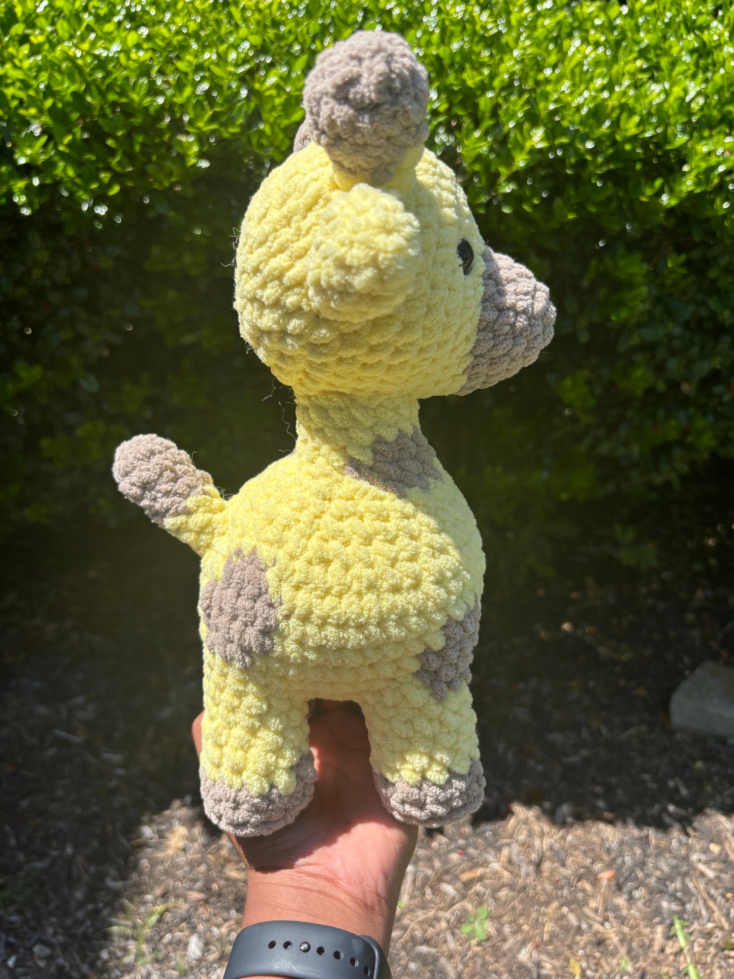 Giraffe