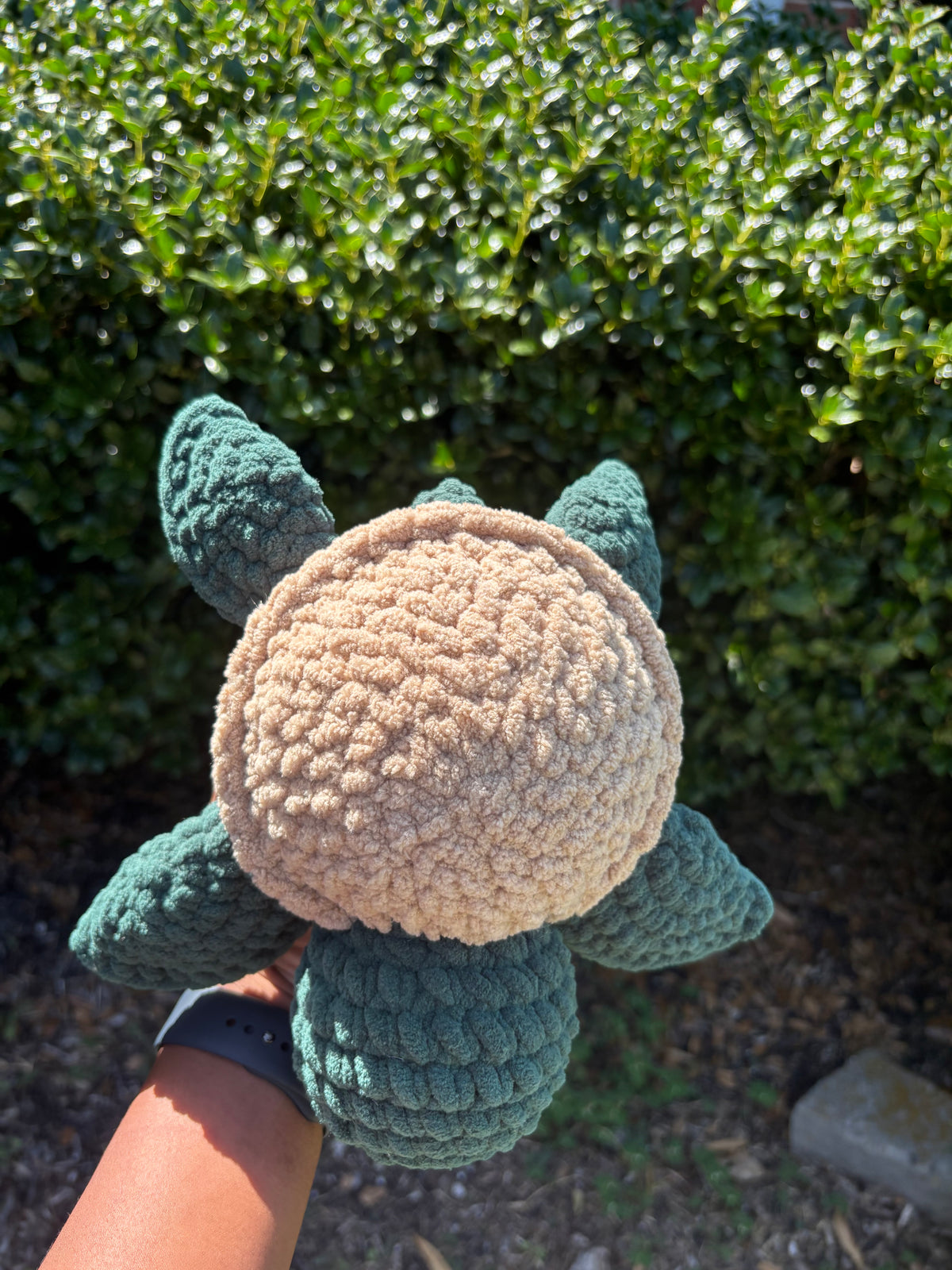 Dark Green & Brown Turtle