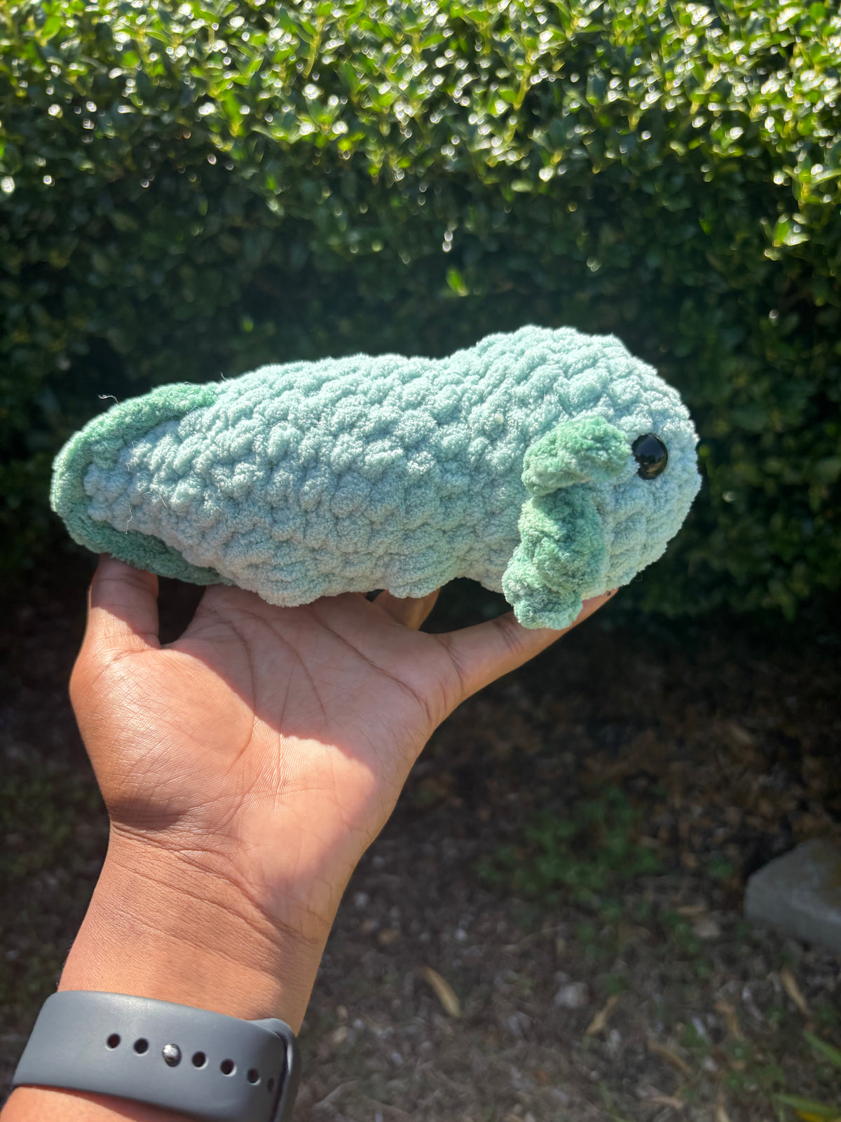 Teal & Green Axolotl
