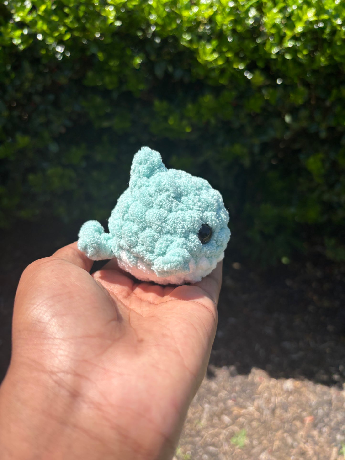 Light Teal Mini Shark