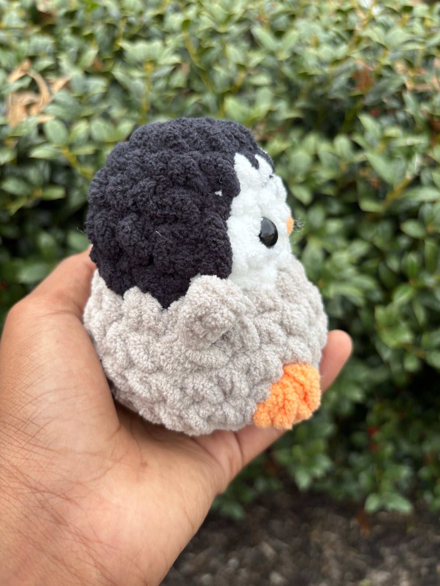 Black Mini Penguin