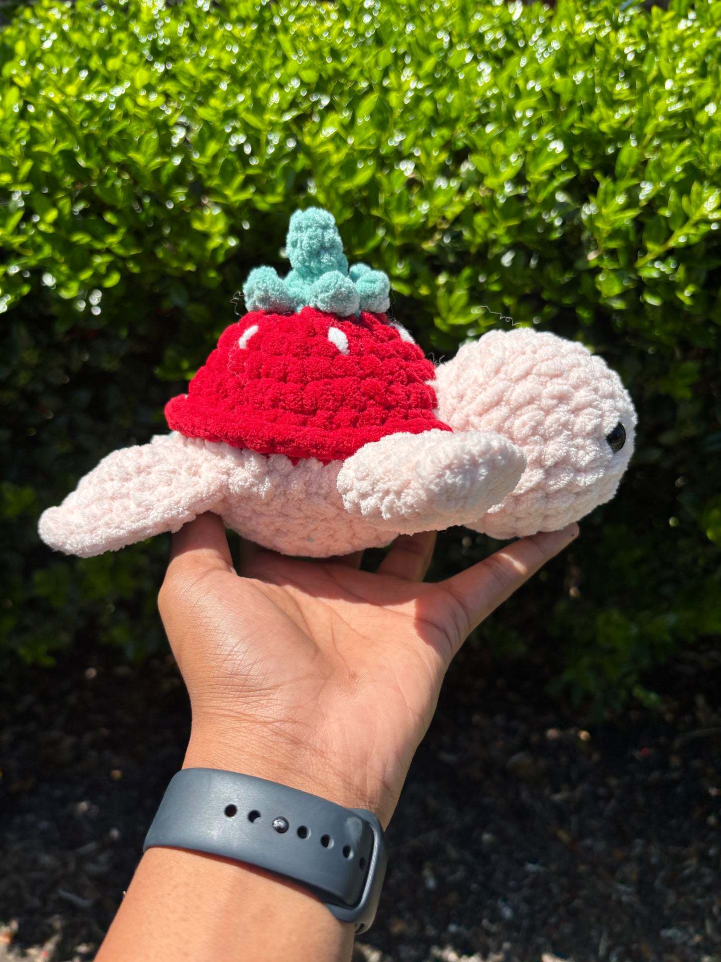 Strawberry Turtle