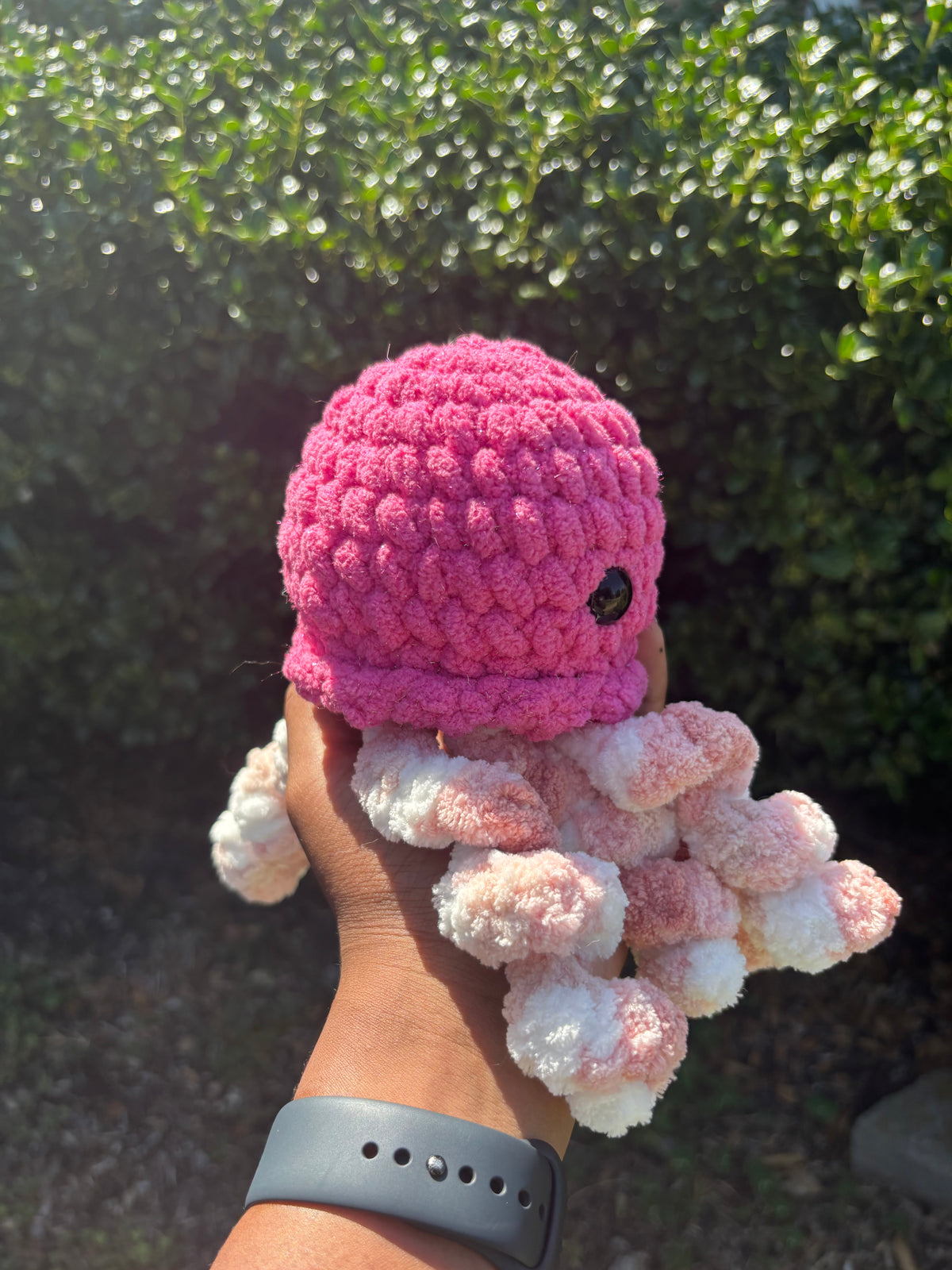 Pink Jellyfish