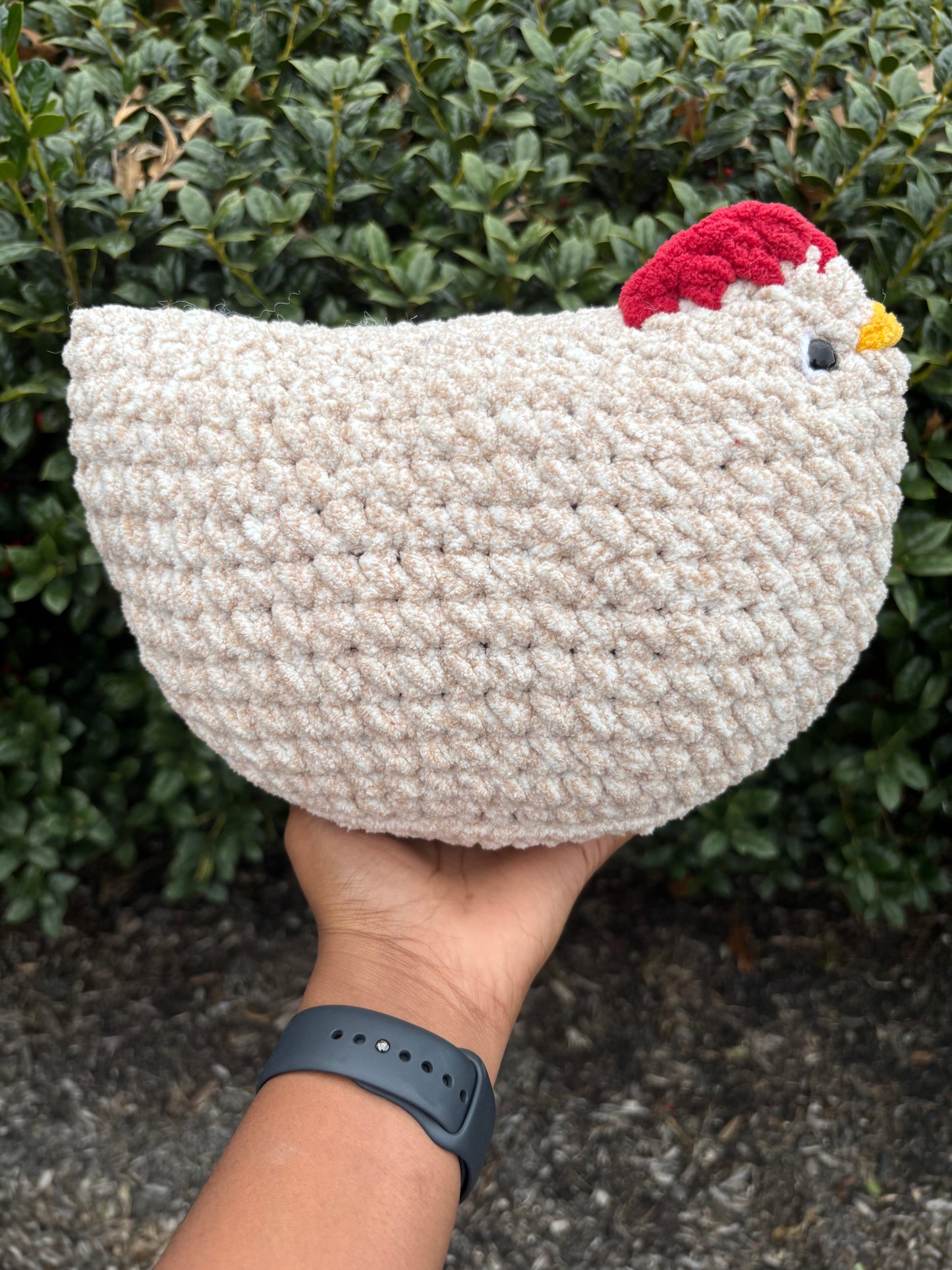 Cream Jumbo Chicken