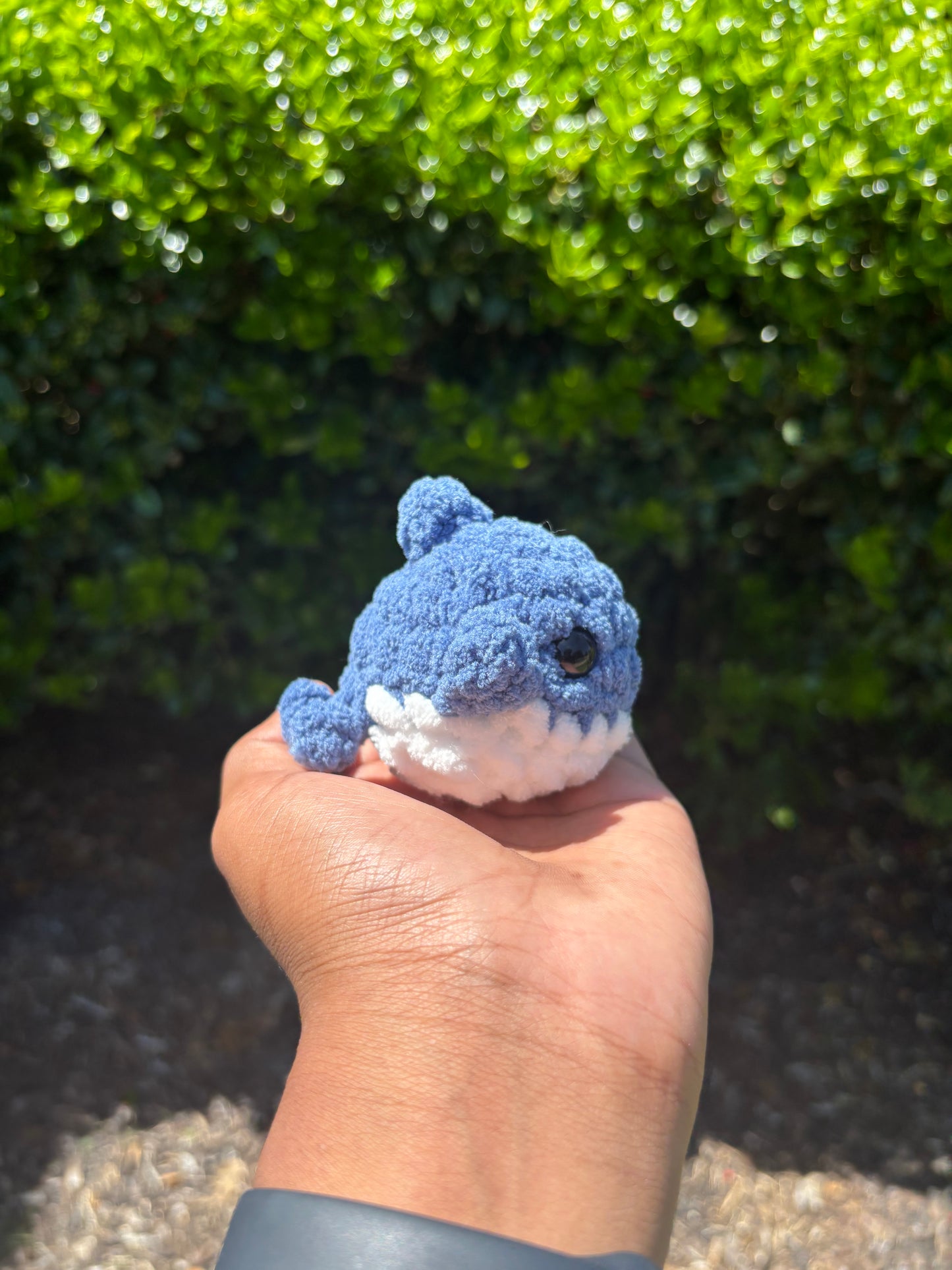 County Blue Mini Shark