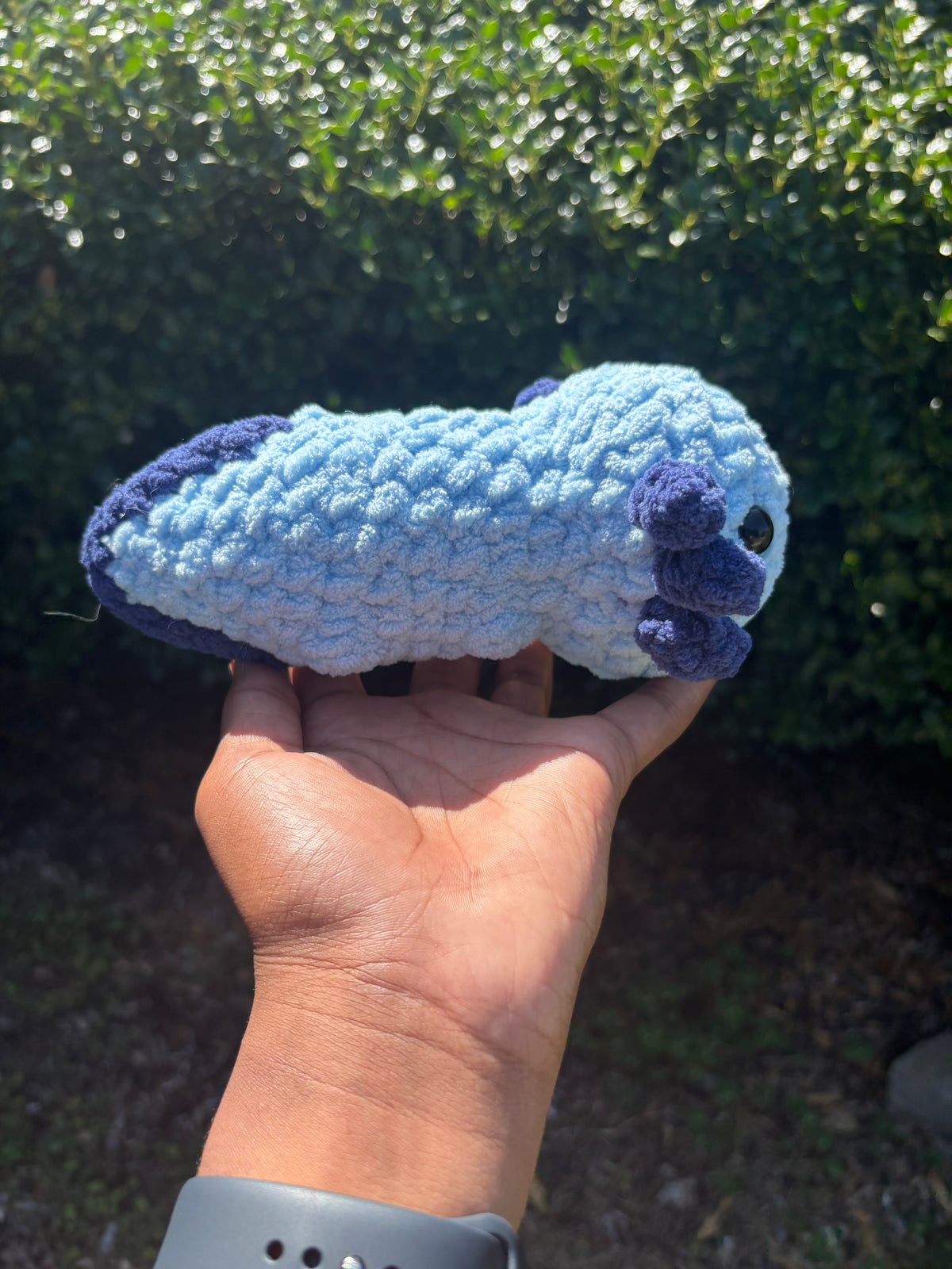 Blue Axolotl