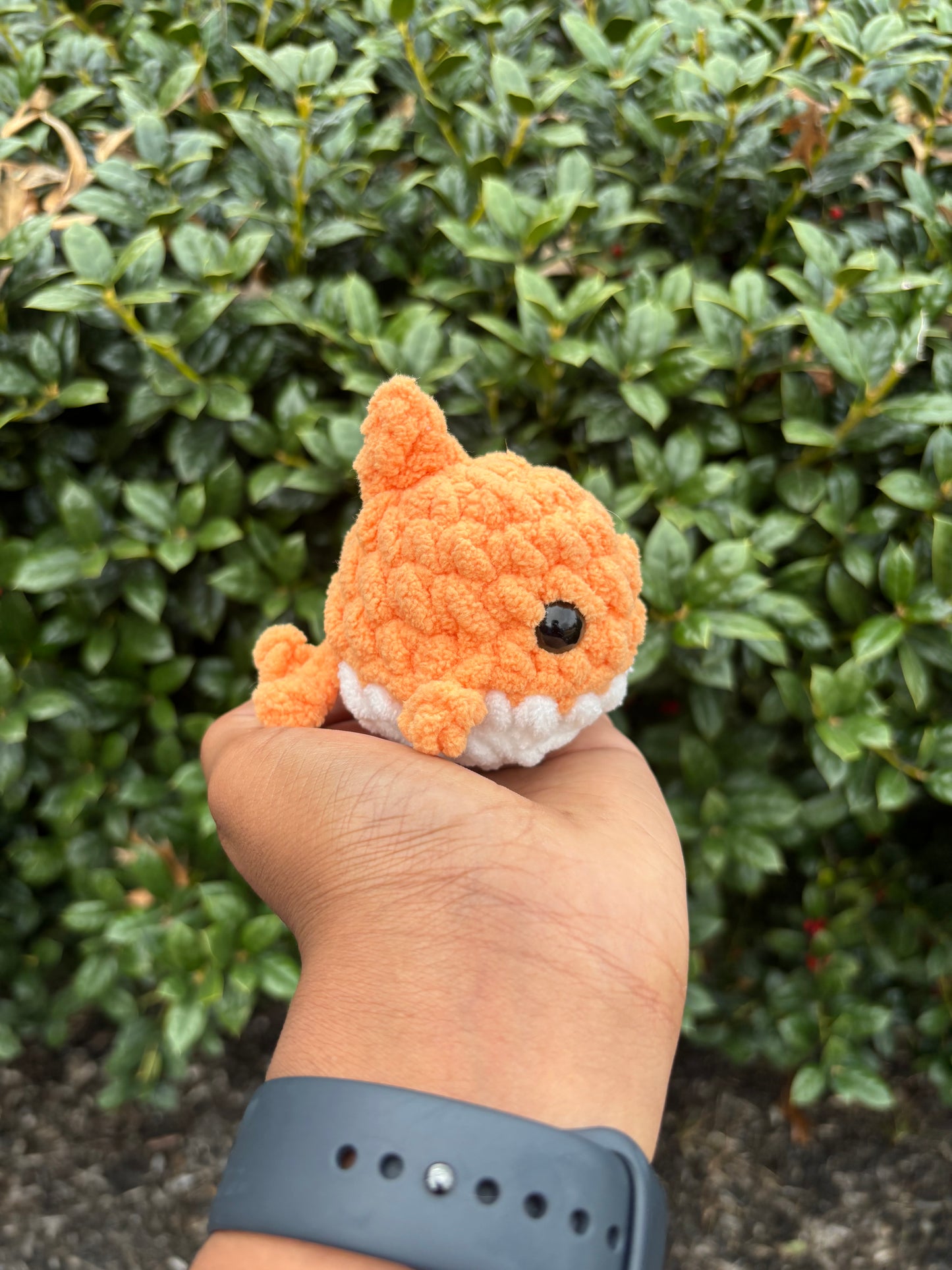 Orange Mini Shark