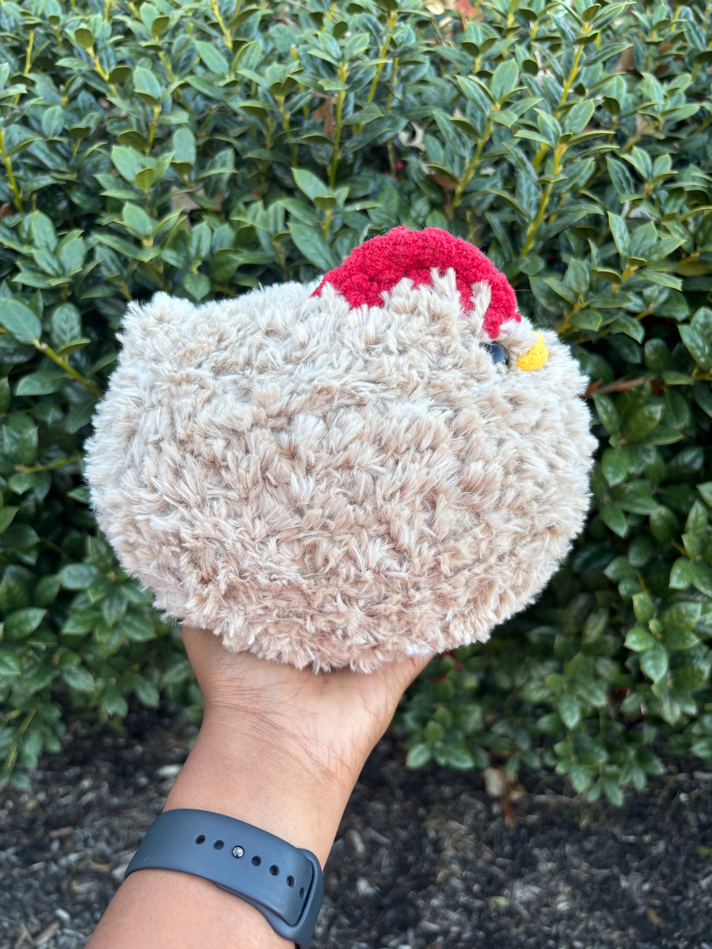 Fluffy Chicken