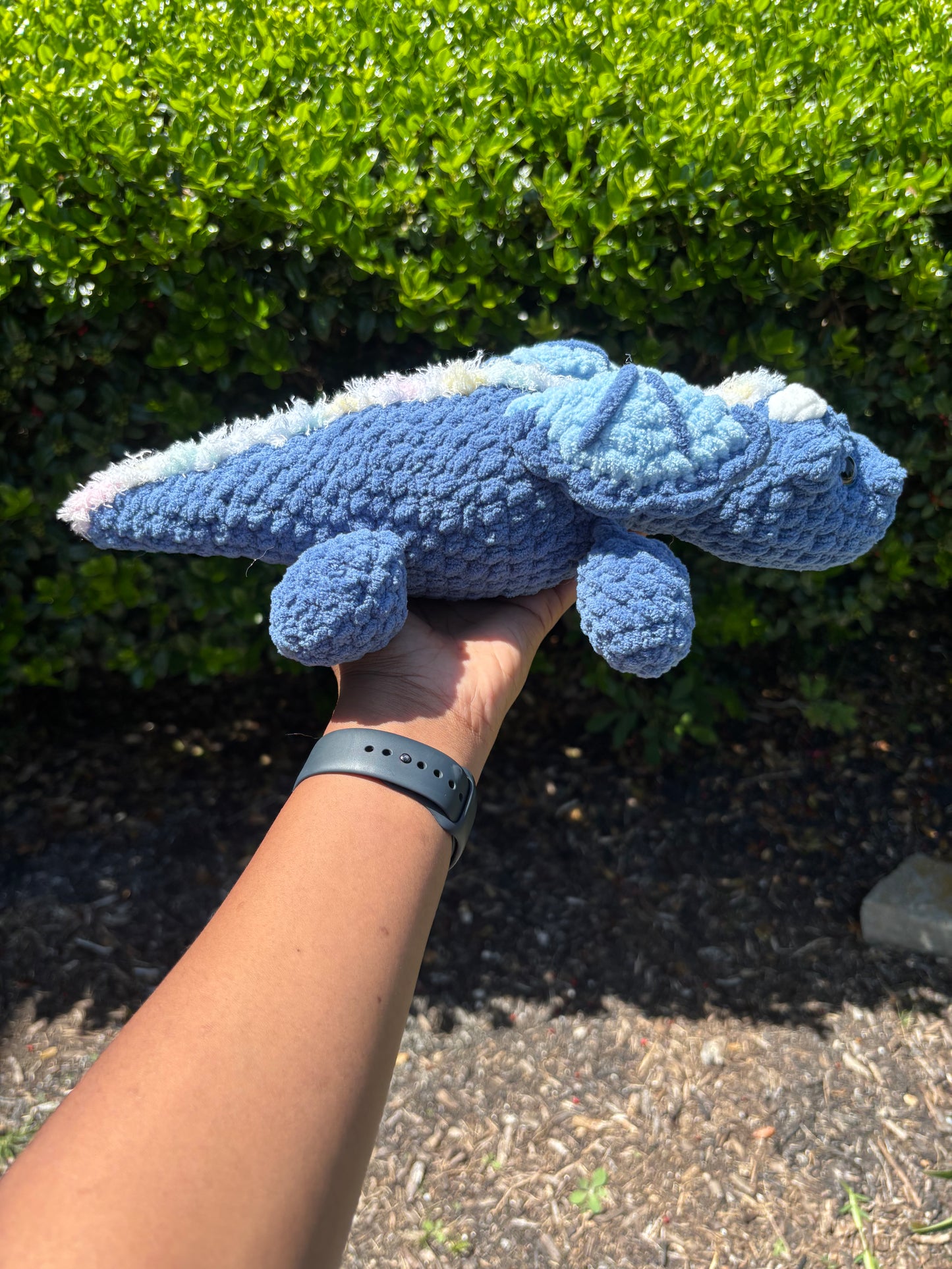 Blue Dragon