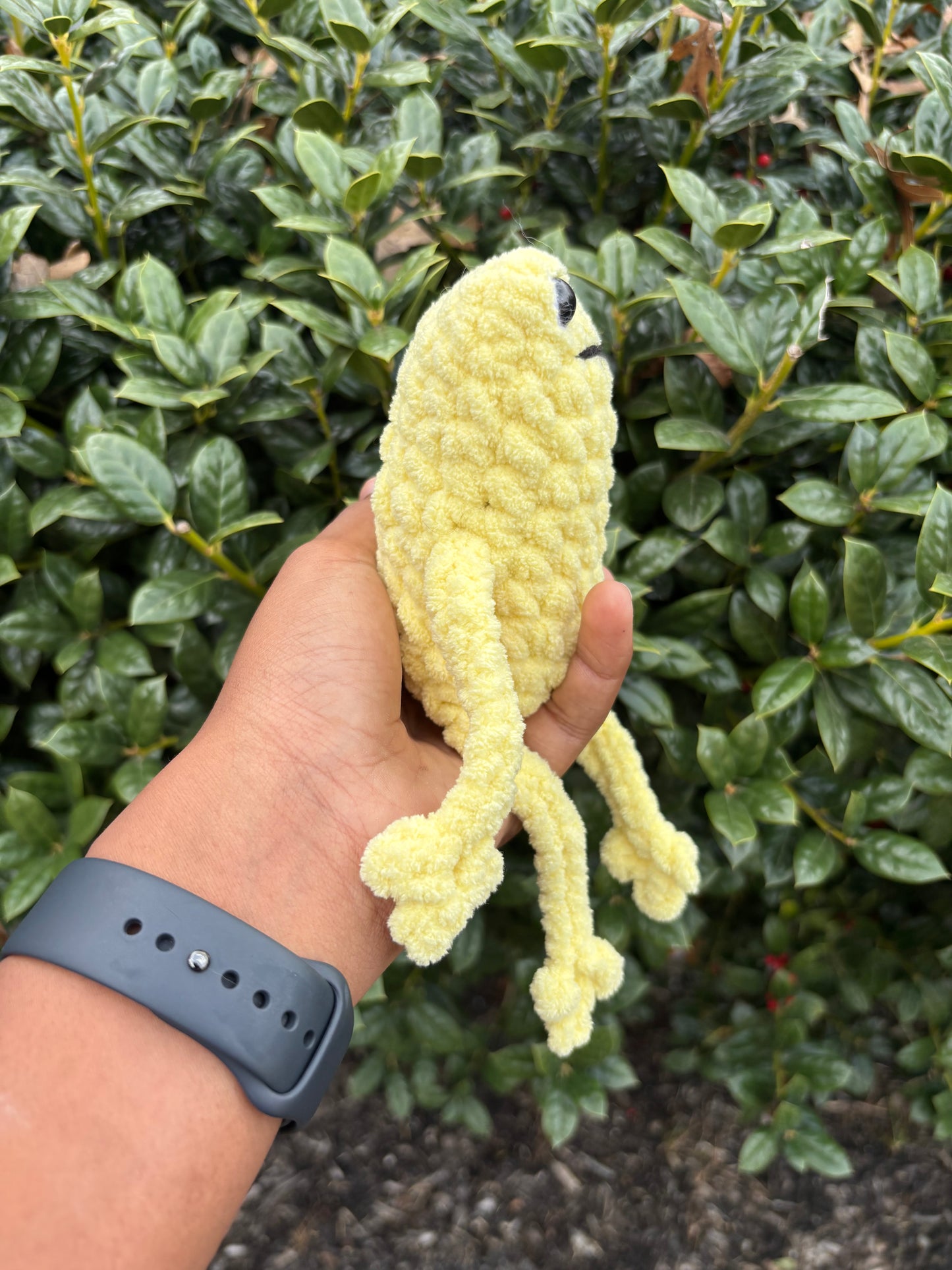 Yellow Leggy Froggie