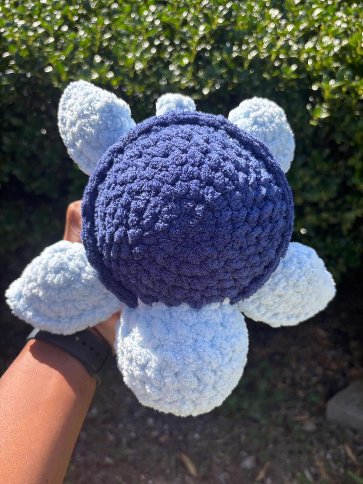 Blue Turtle