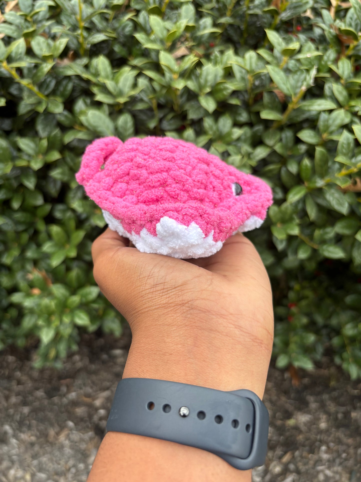 Sparkly Pink Mini Stingray