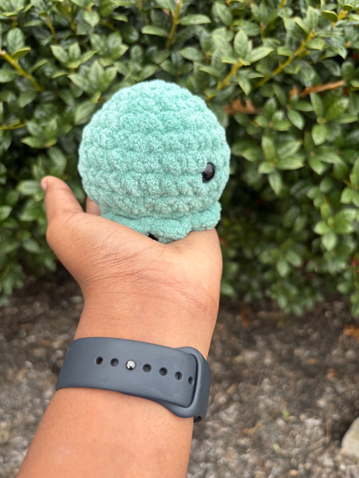 Light Teal Octo