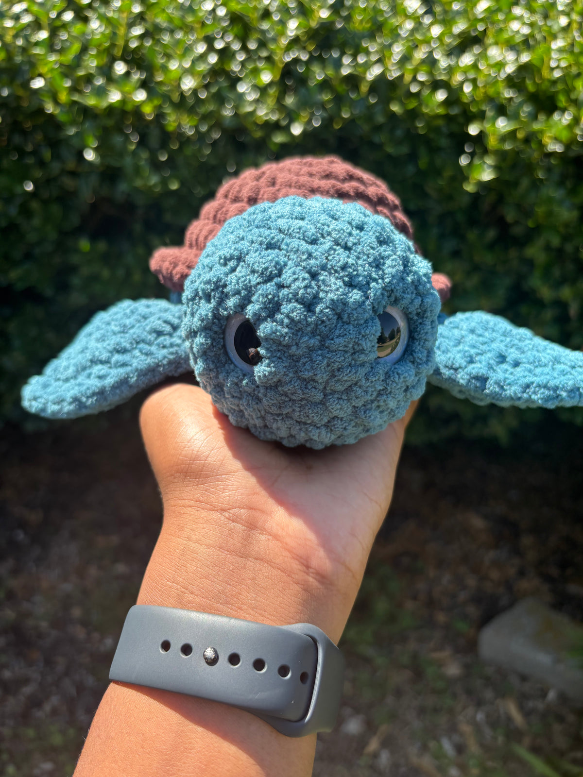 Dark Teal & Dark Brown Turtle