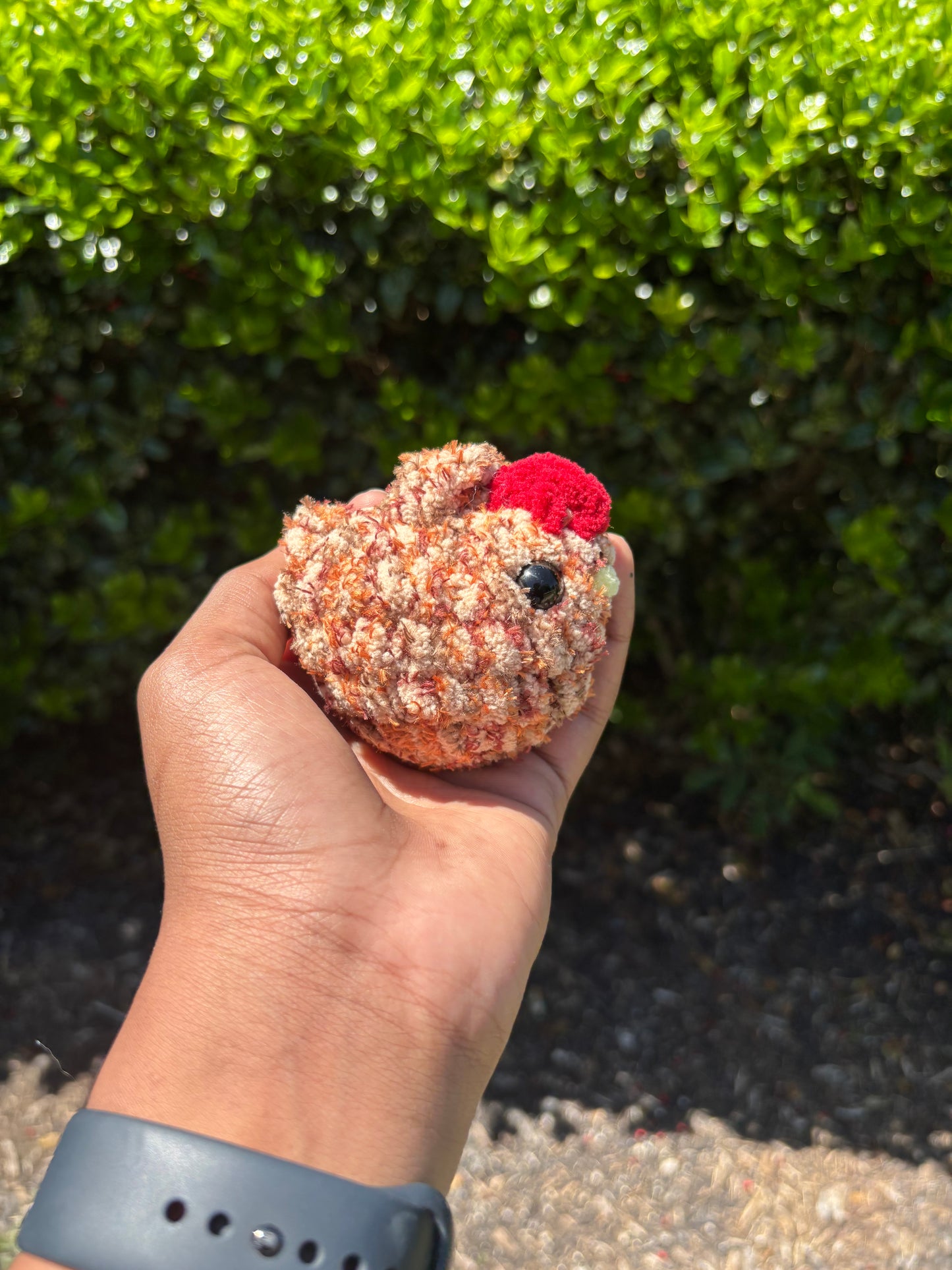 Mini Orange Speckled Chicken
