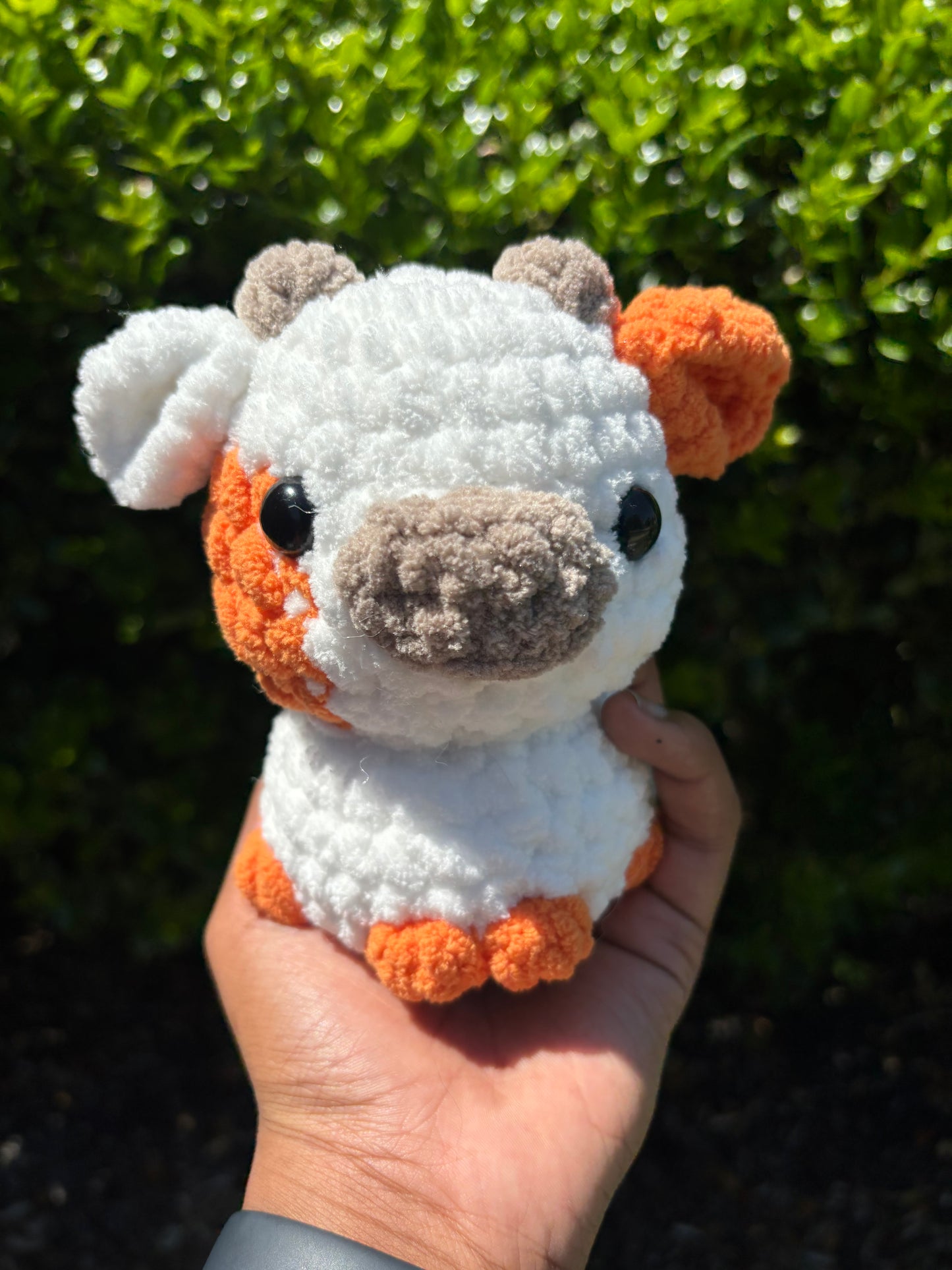 Orange & White Cow