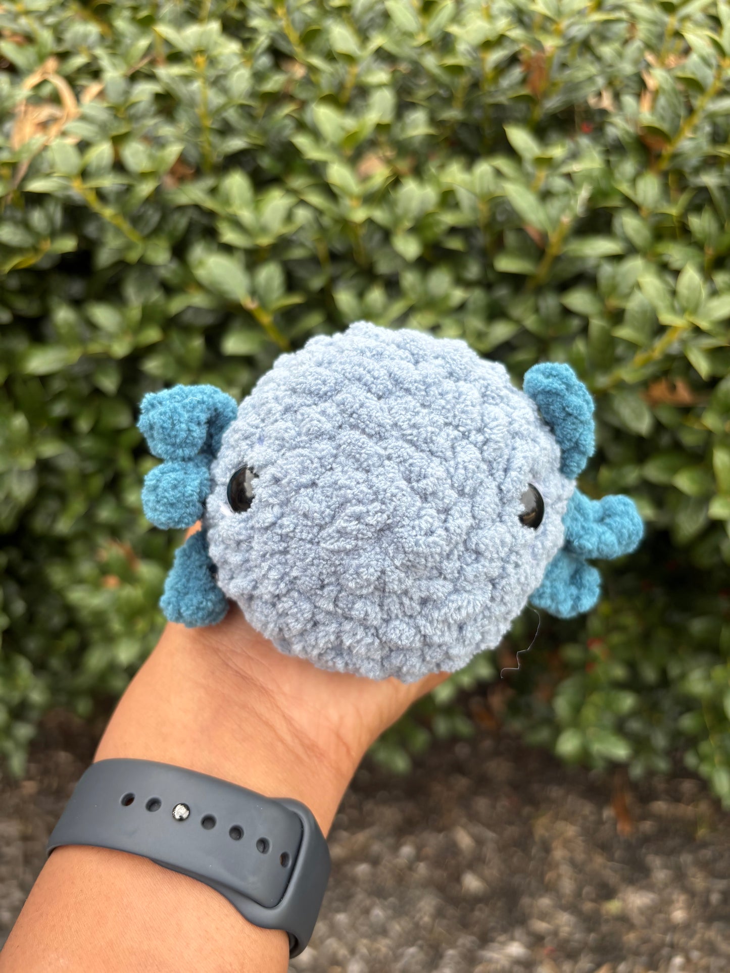 Dusty Blue & Dark Teal Axolotl