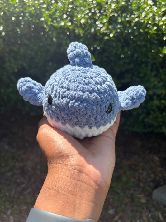Dusty Blue Shark