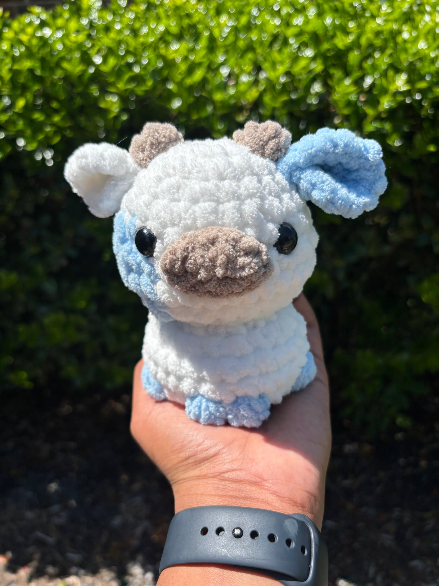 Blue & White Cow
