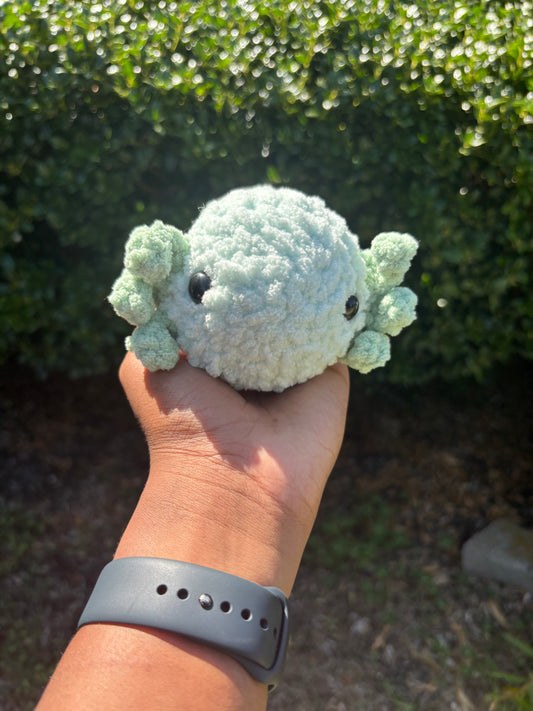 Mint & Green Axolotl