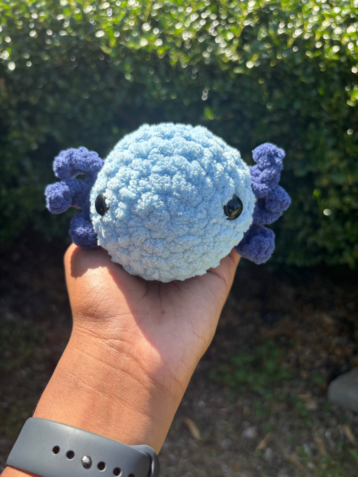Blue Axolotl