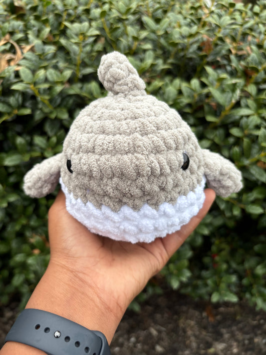 Gray Shark