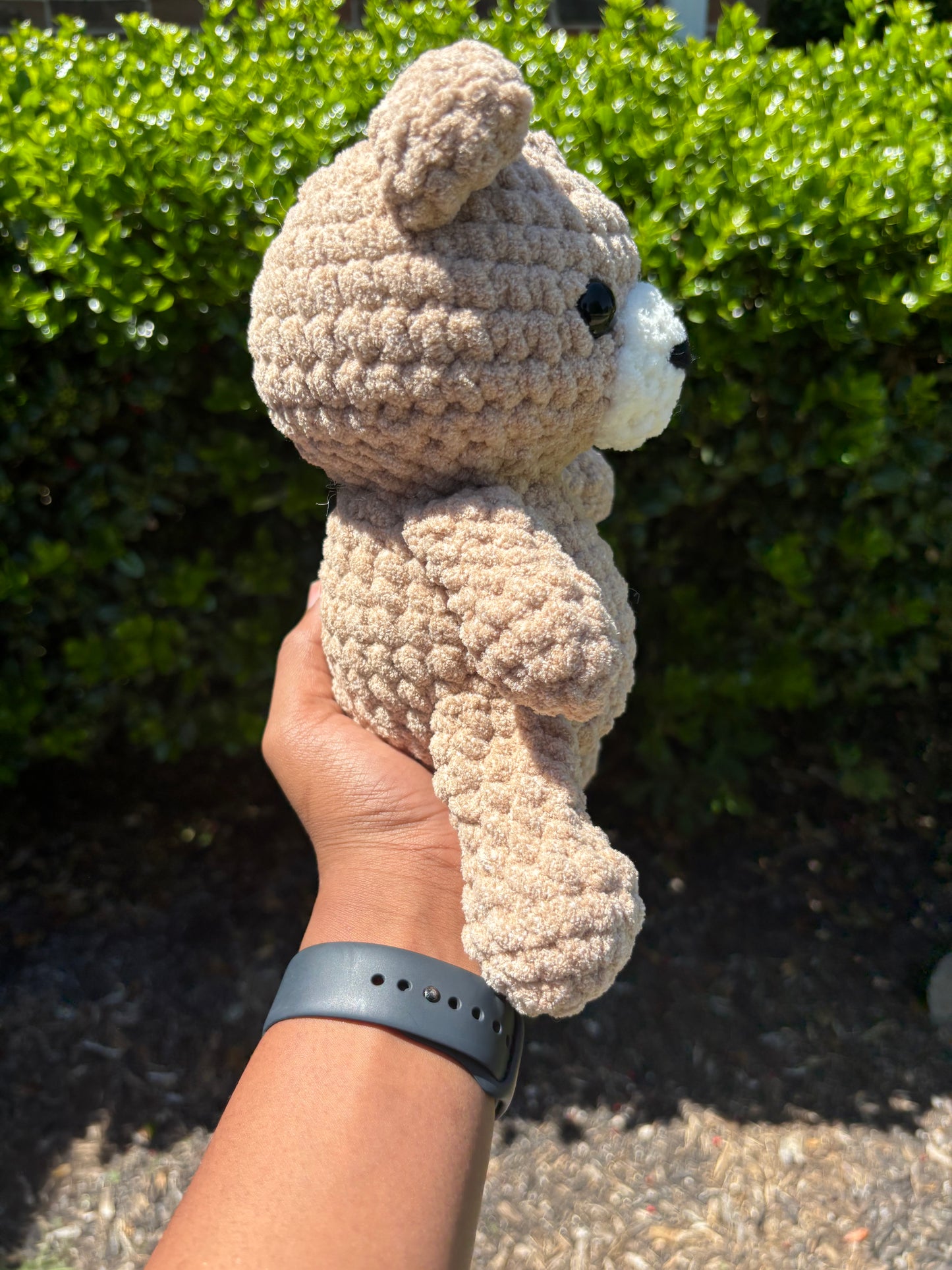 Tan Big Bear