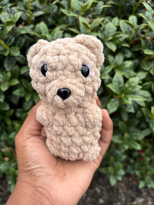 Brown Bear