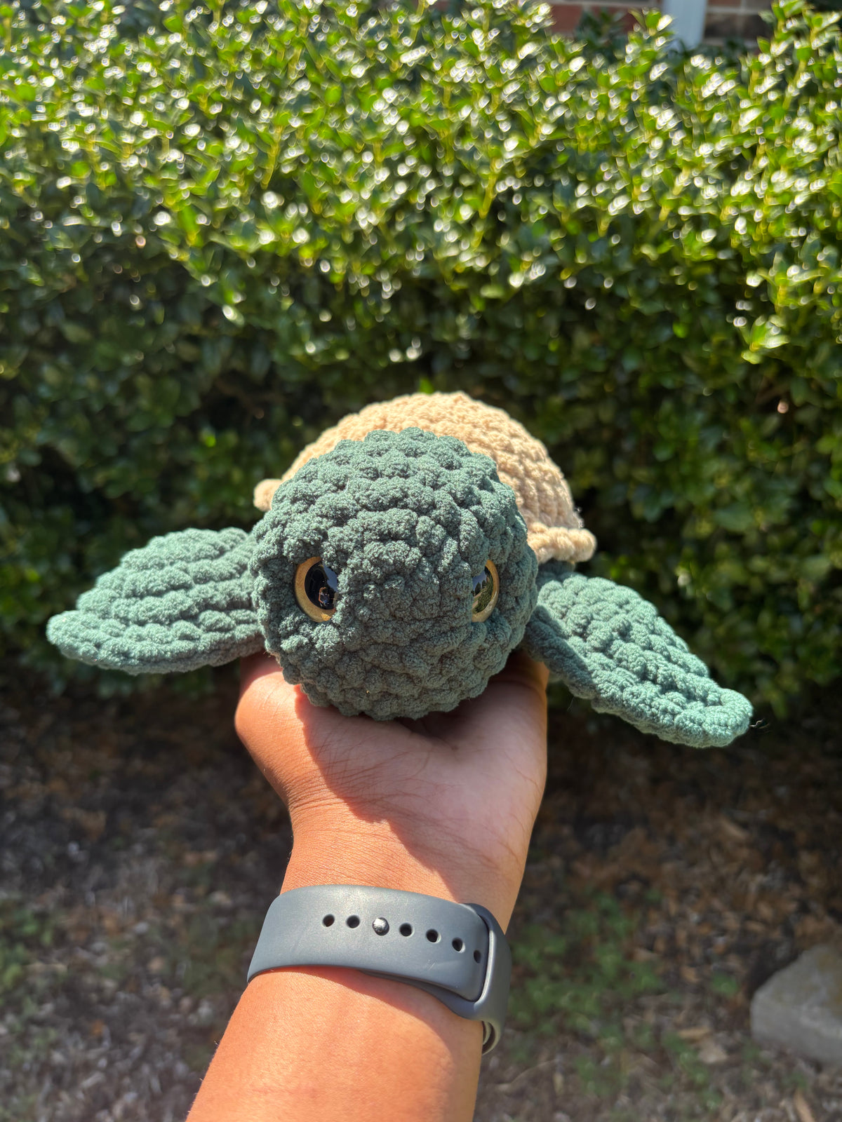 Dark Green & Brown Turtle