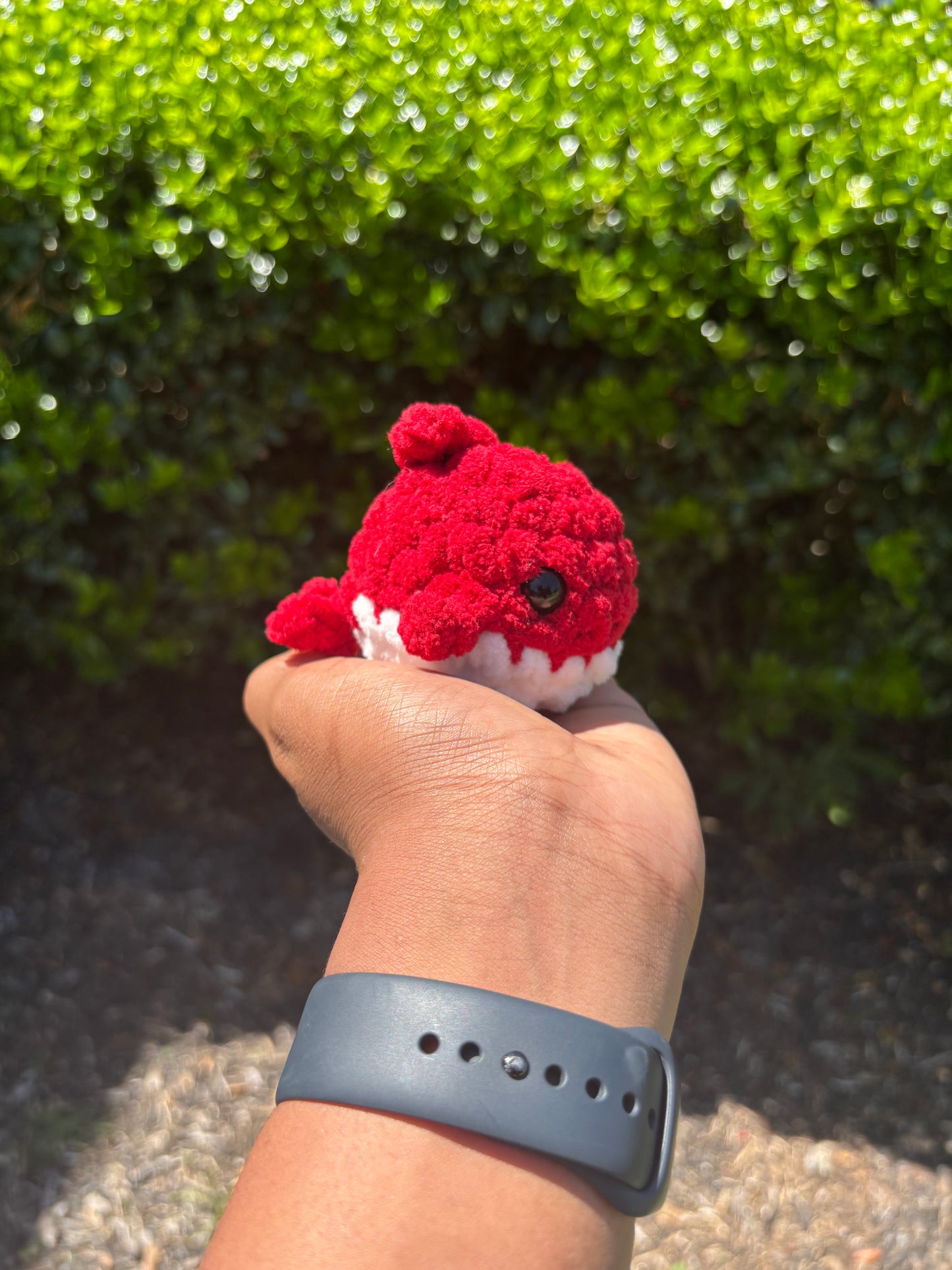 Red Mini Shark