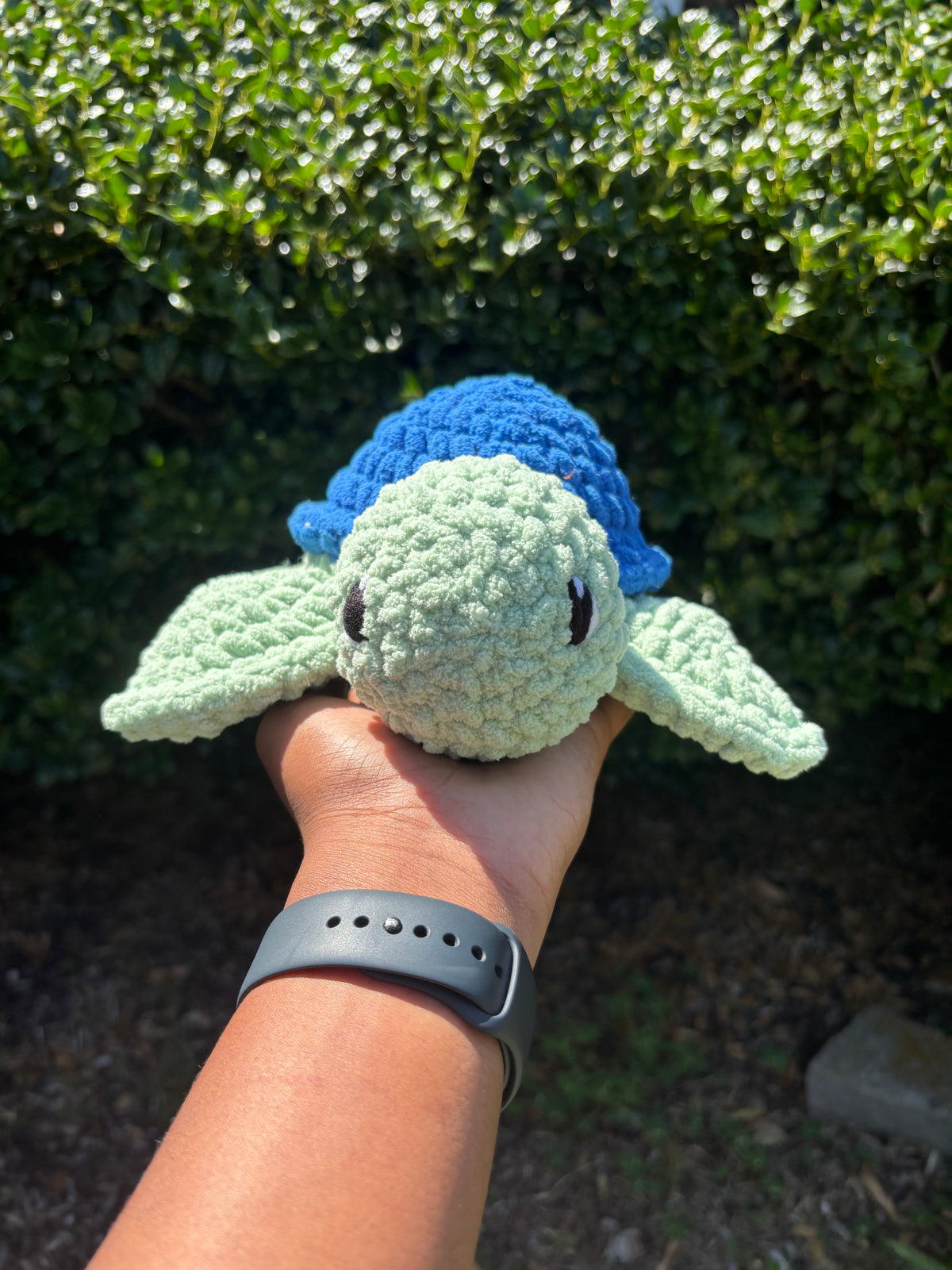 Sage & Blue Turtle