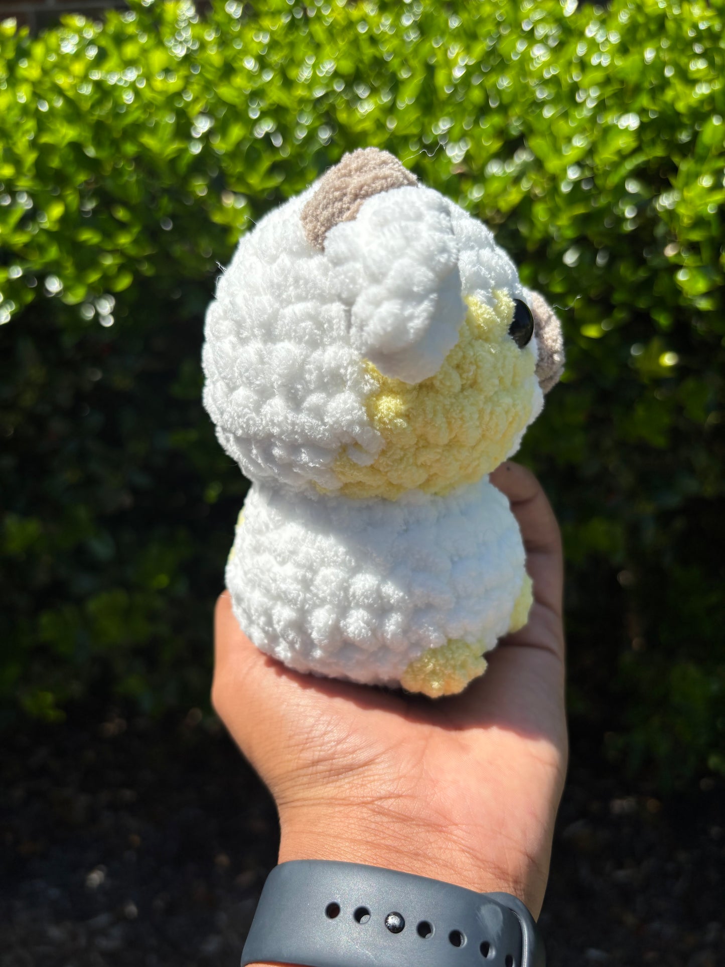 Yellow & White Cow