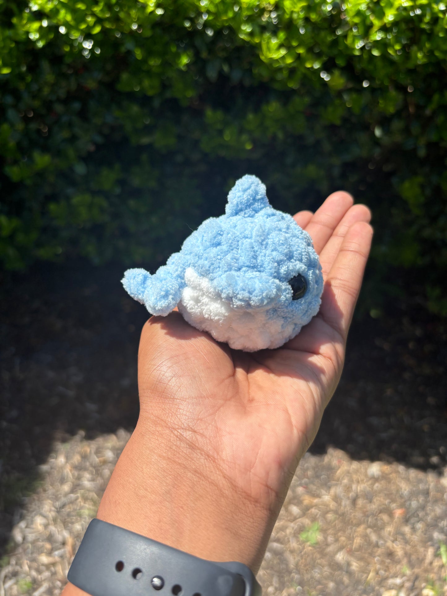 Blue Mini Shark